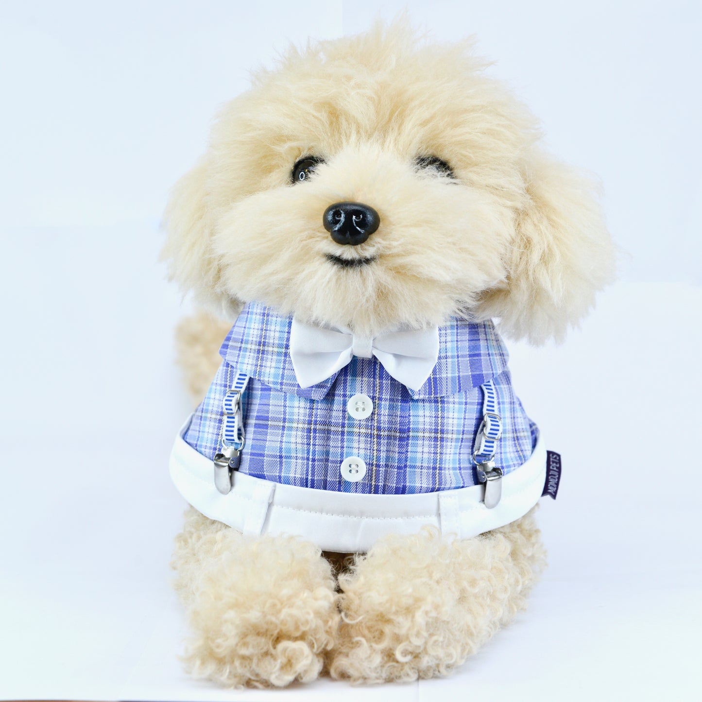 Mallory Boys Pet Bib