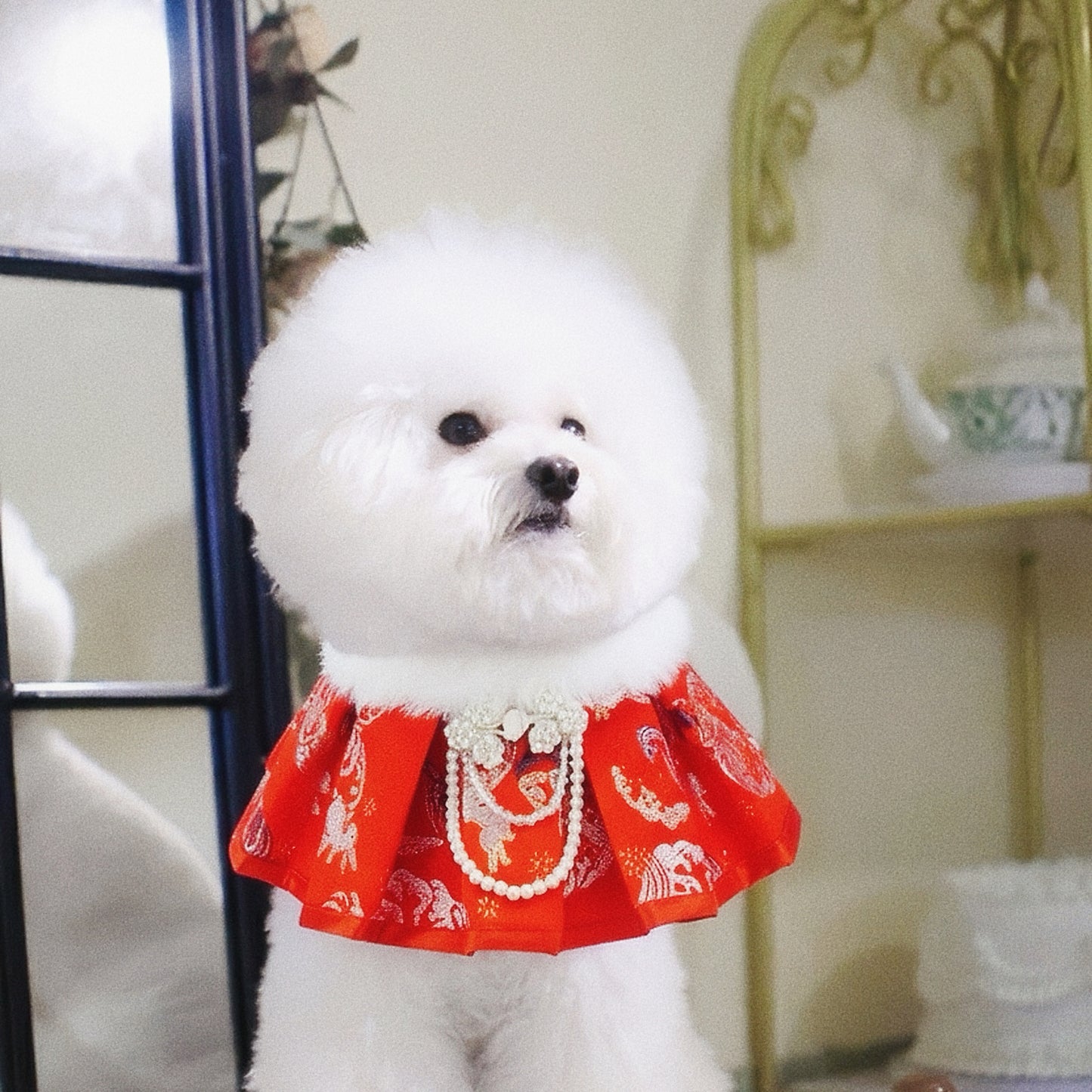 Blush 柔禧 | Pet LNY Neckwear
