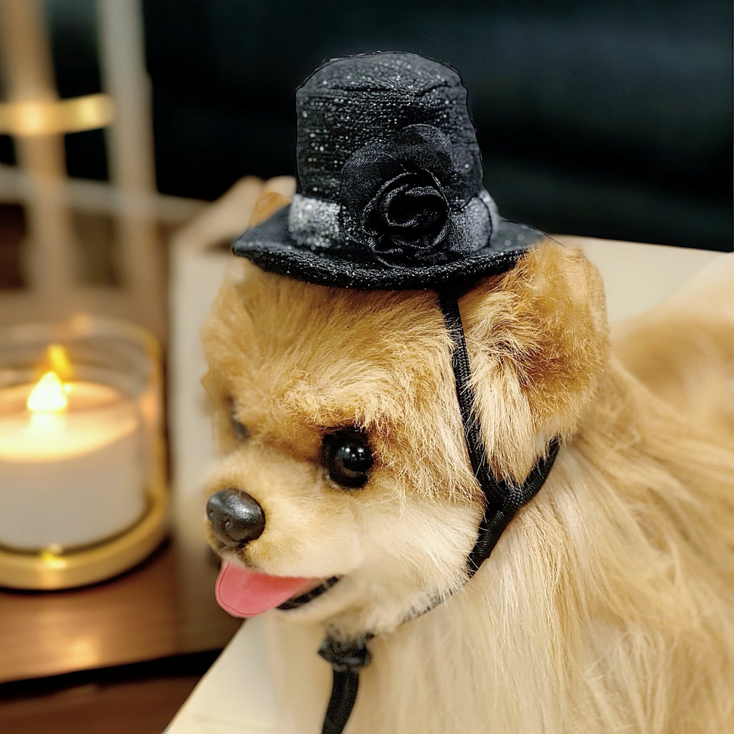 SHREWSBURY Pet Hat | Equestrian