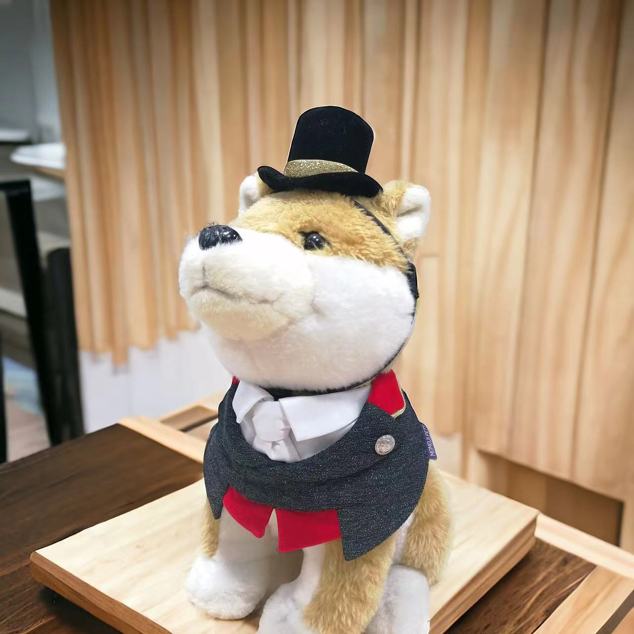 ETON Pet Hat | Equestrian