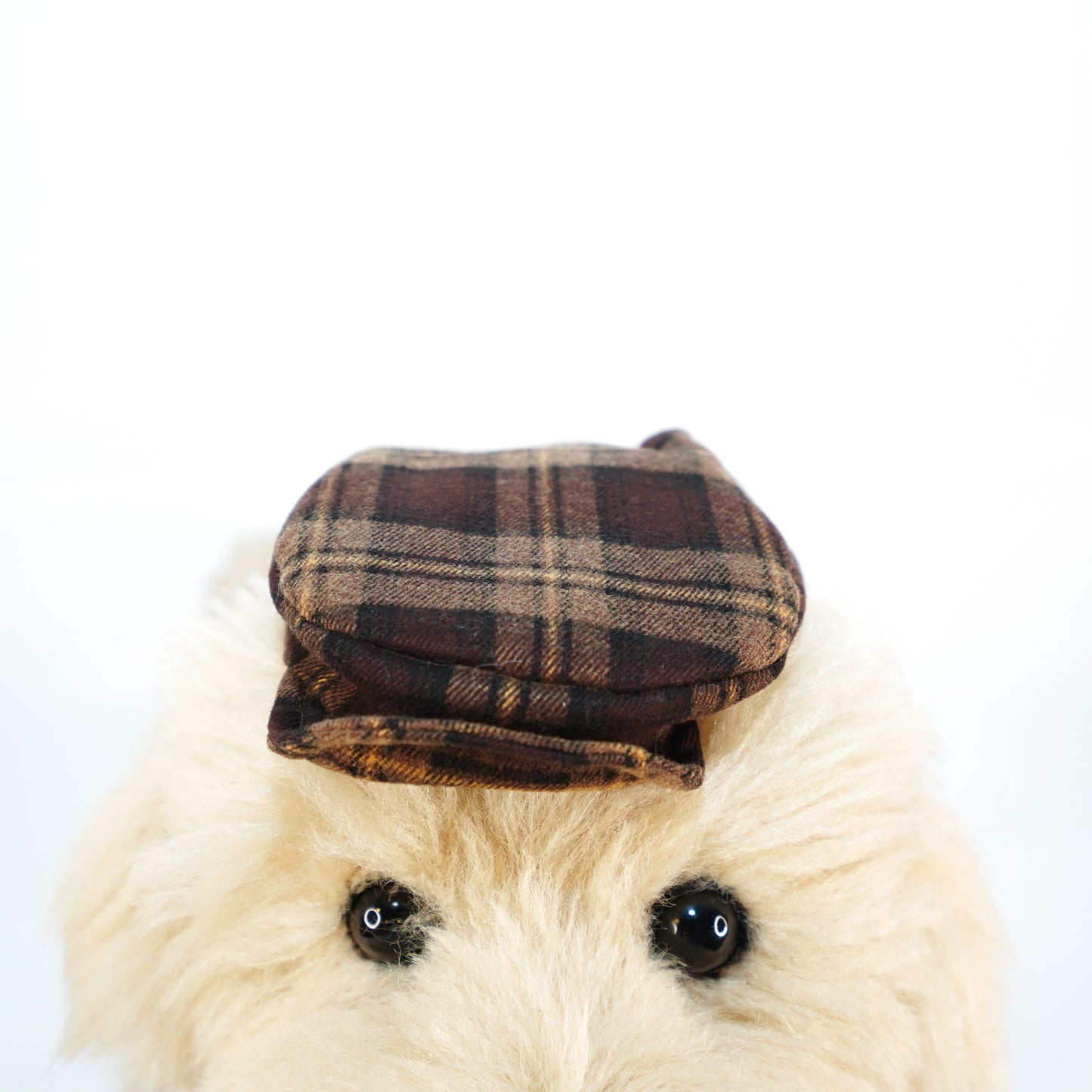 Charles (New Colours) | Pet Hat