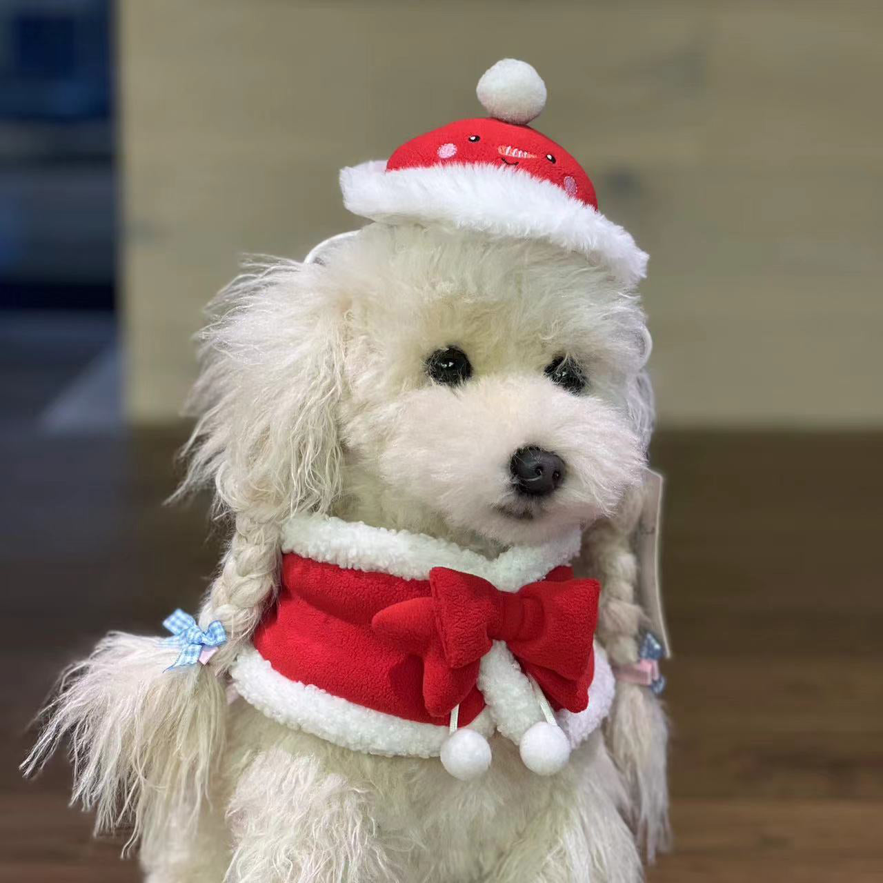 KOSKELA Pet Festival Bib | Christmas