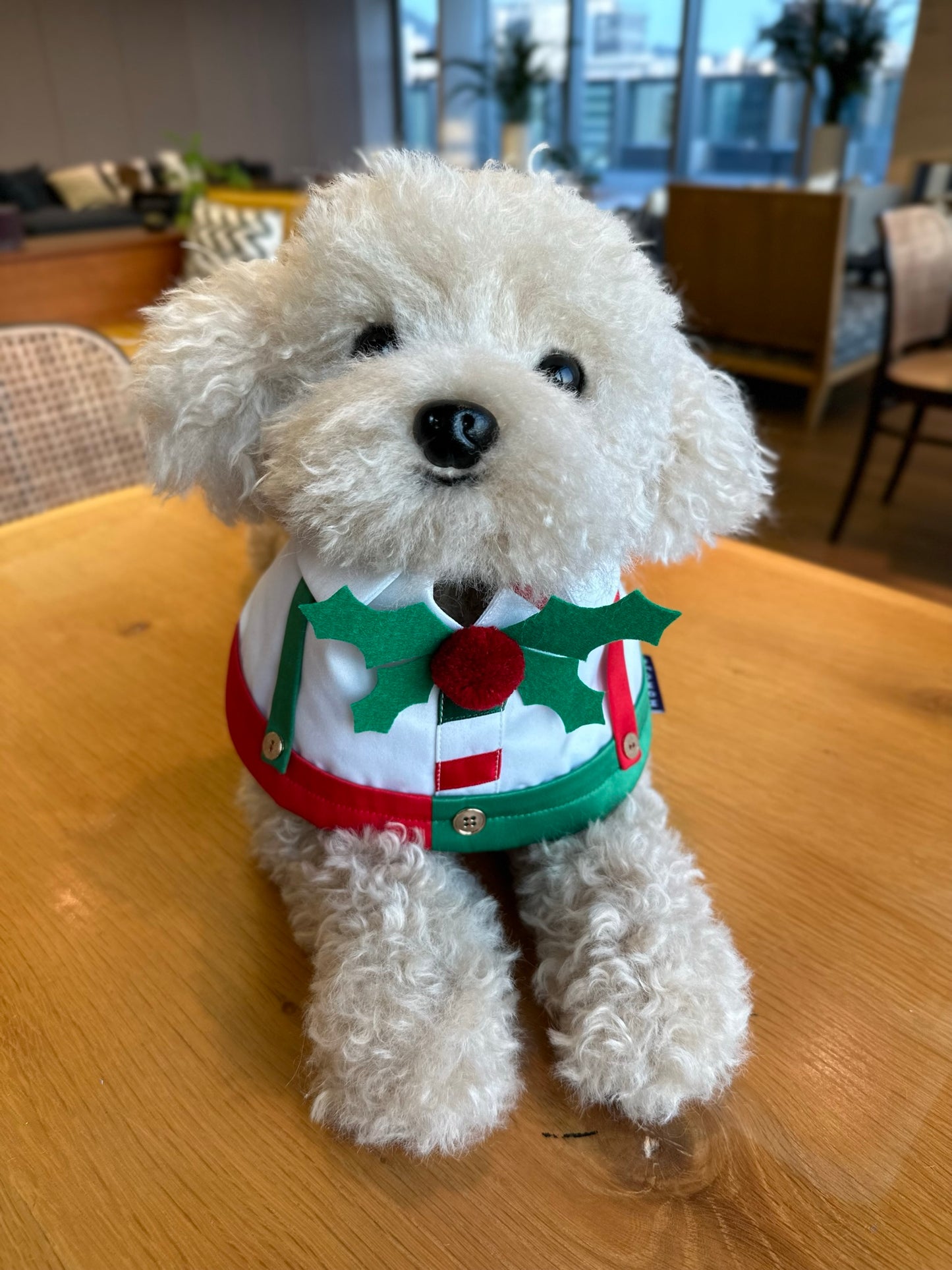 JASPER | Festival Bib | Christmas