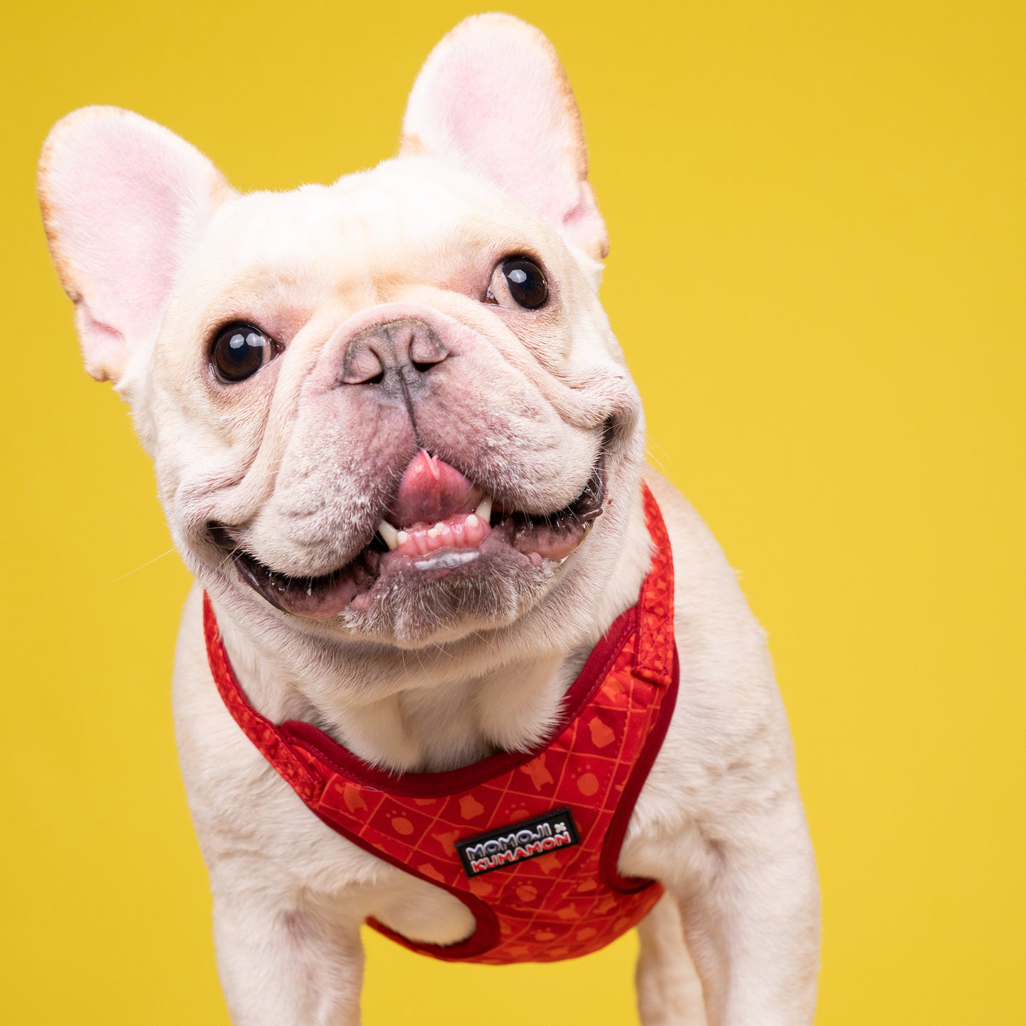 KUMAMON Chest Strap Dress