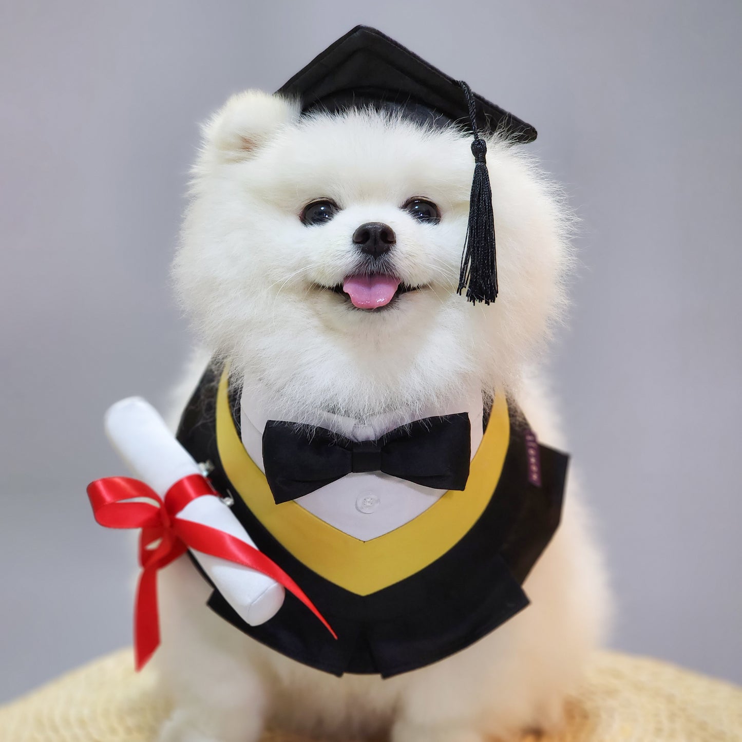 Baccalaureate Regalia Pet Bib