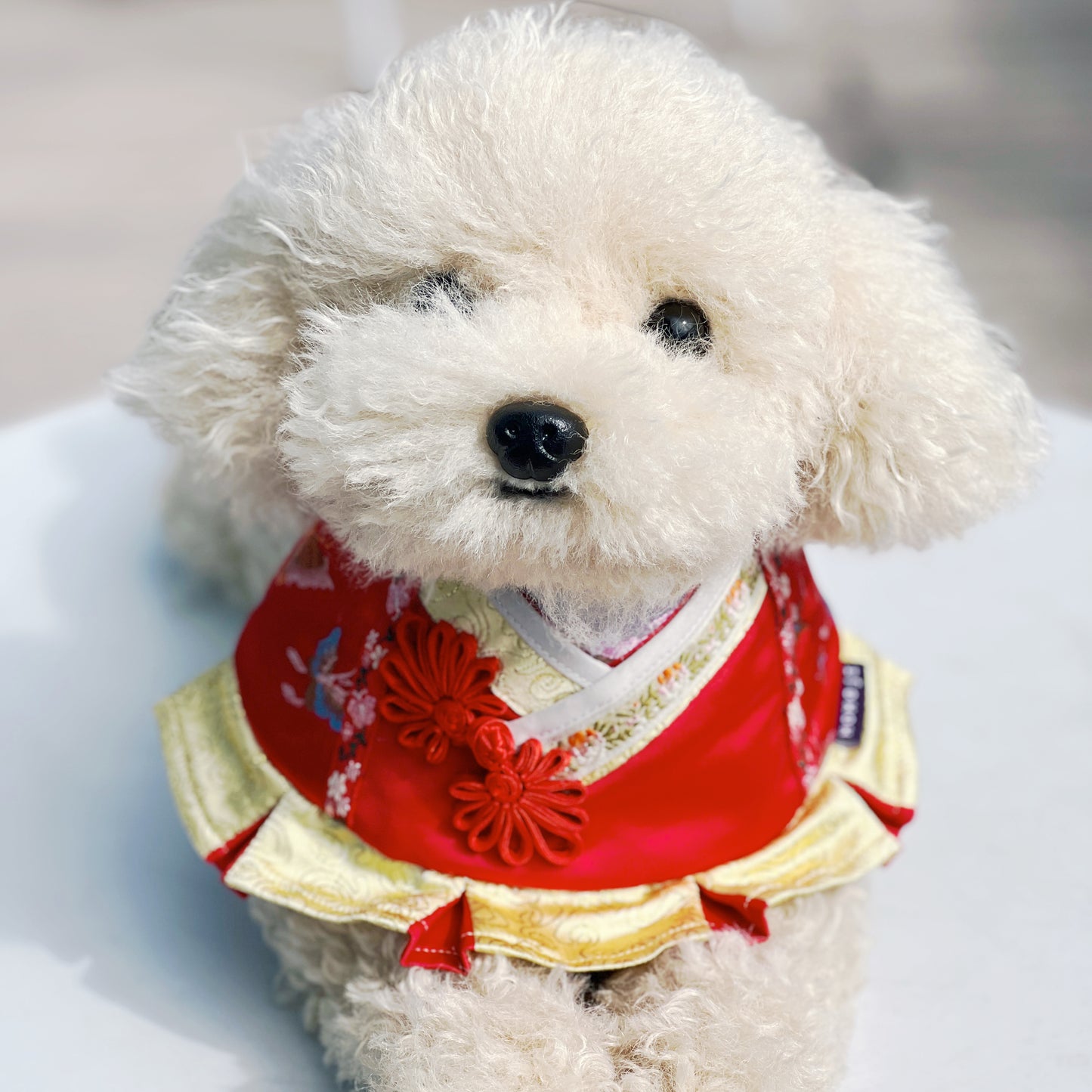 GENTLE Pet CNY Bib