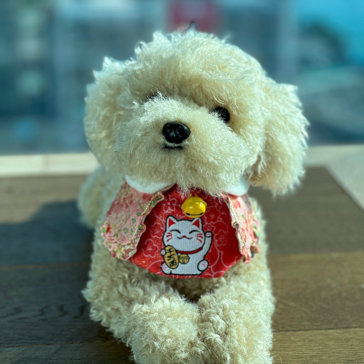 FORTUNE CAT SP Pet CNY Bib