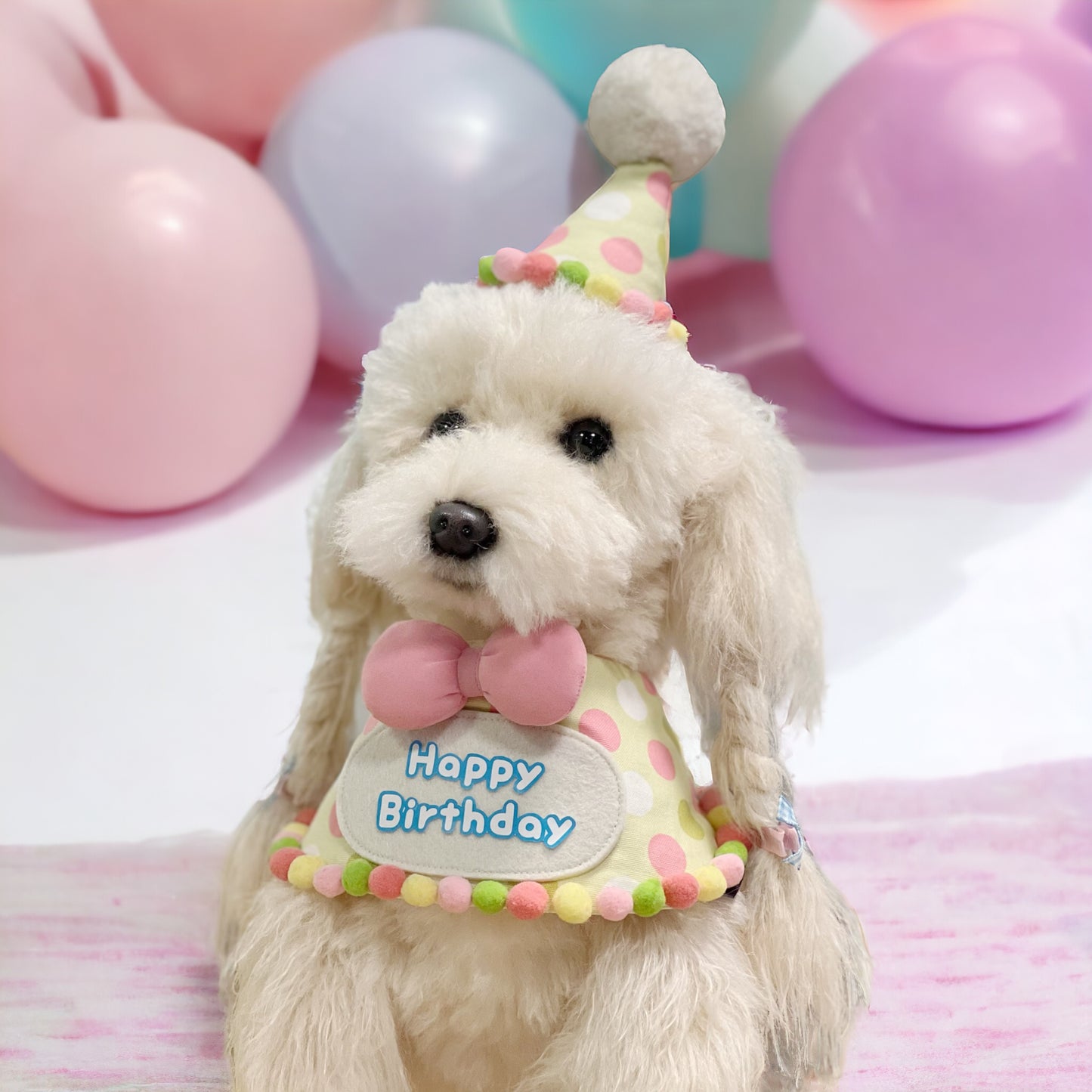 HAPPY BIRTHDAY Pet Hat