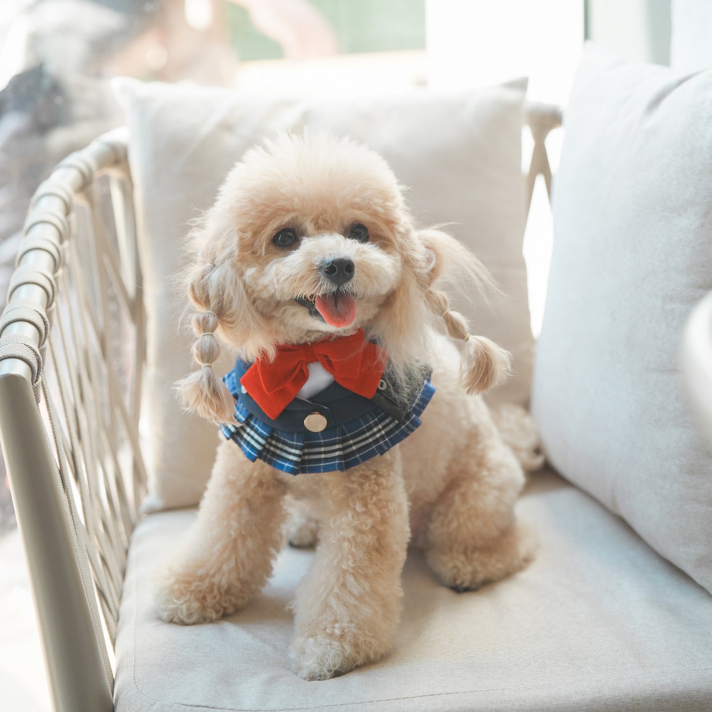 Morrison Hill  · Girls Pet Bib