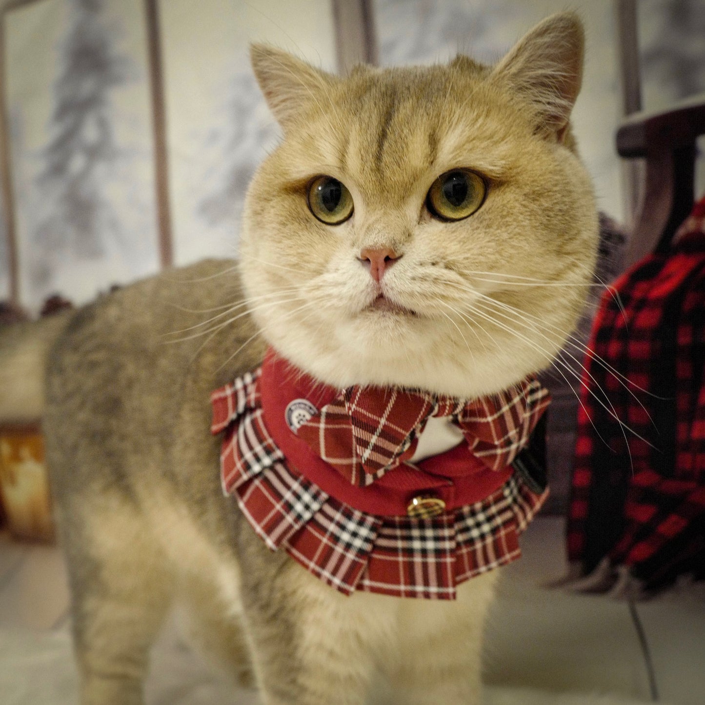 Morrison Hill  · Girls Pet Bib