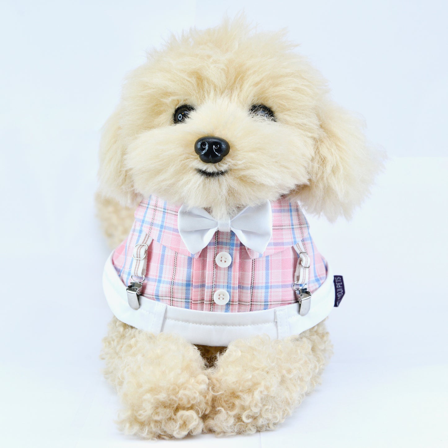 Mallory Boys Pet Bib