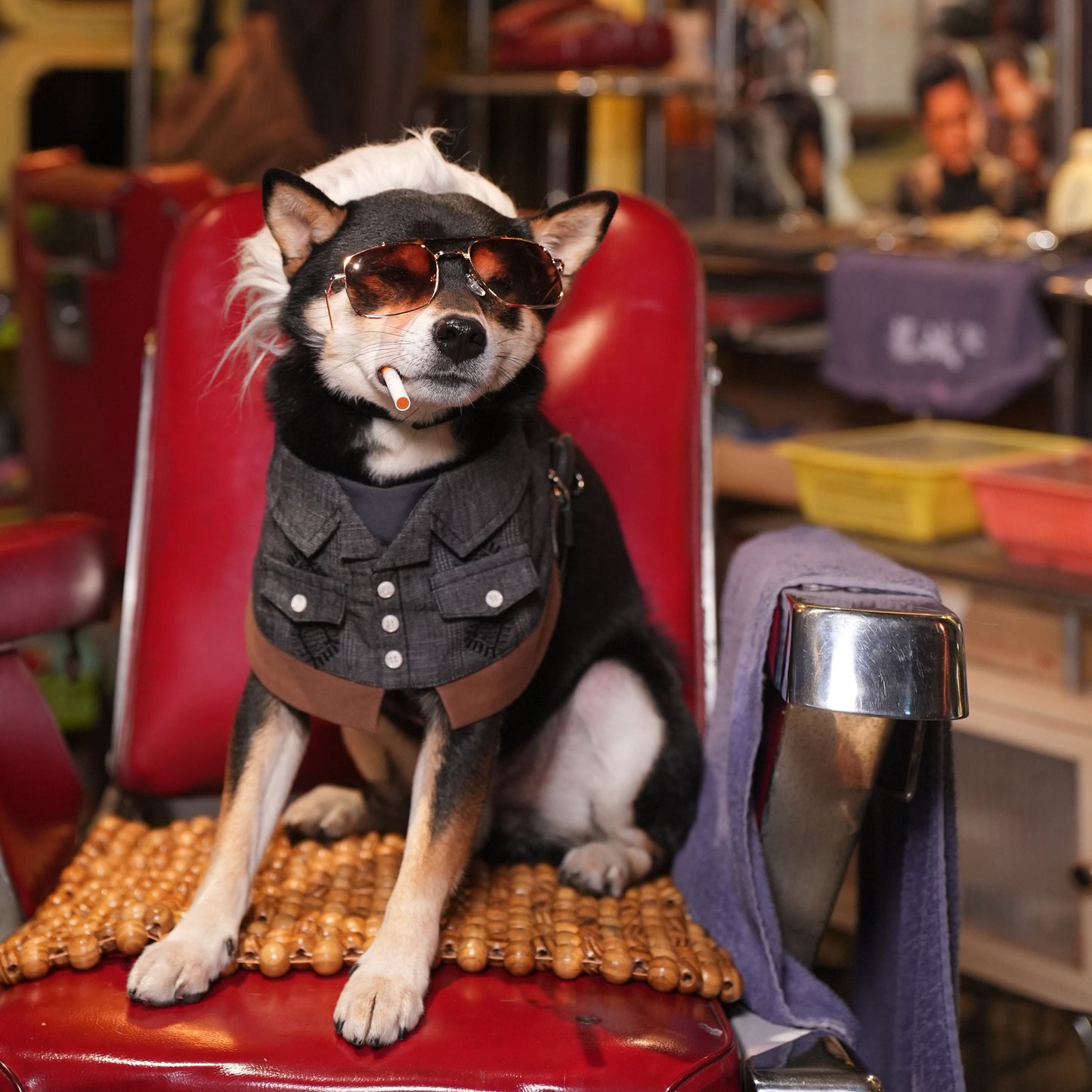 Cyclone (龍捲風) | Pet Bib