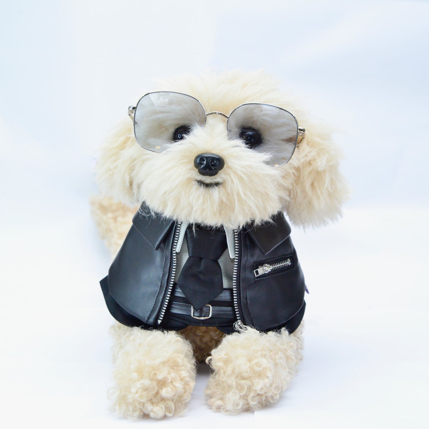 Shin (信一) | Pet Bib