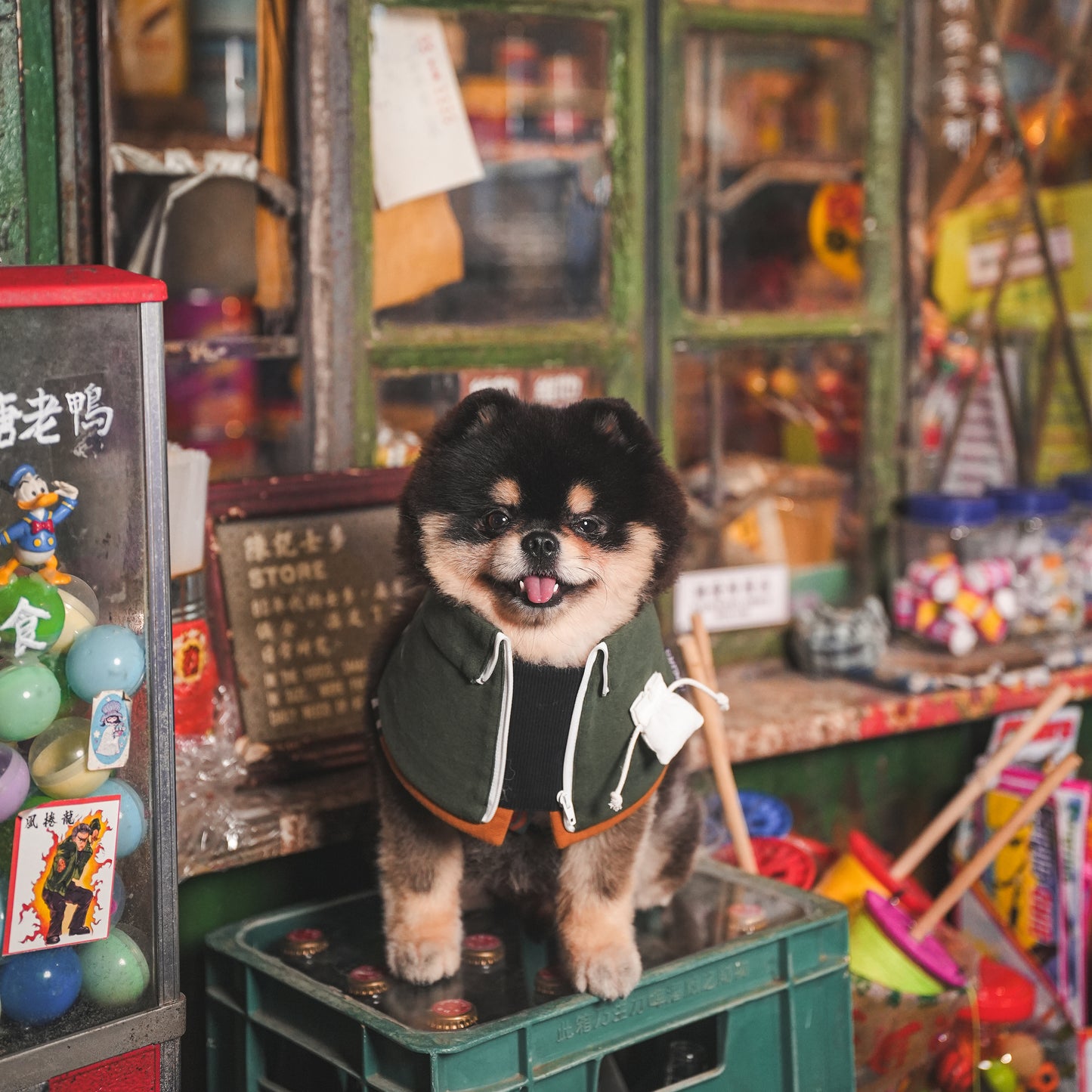 Lok-kwan A (洛軍) | Pet Bib