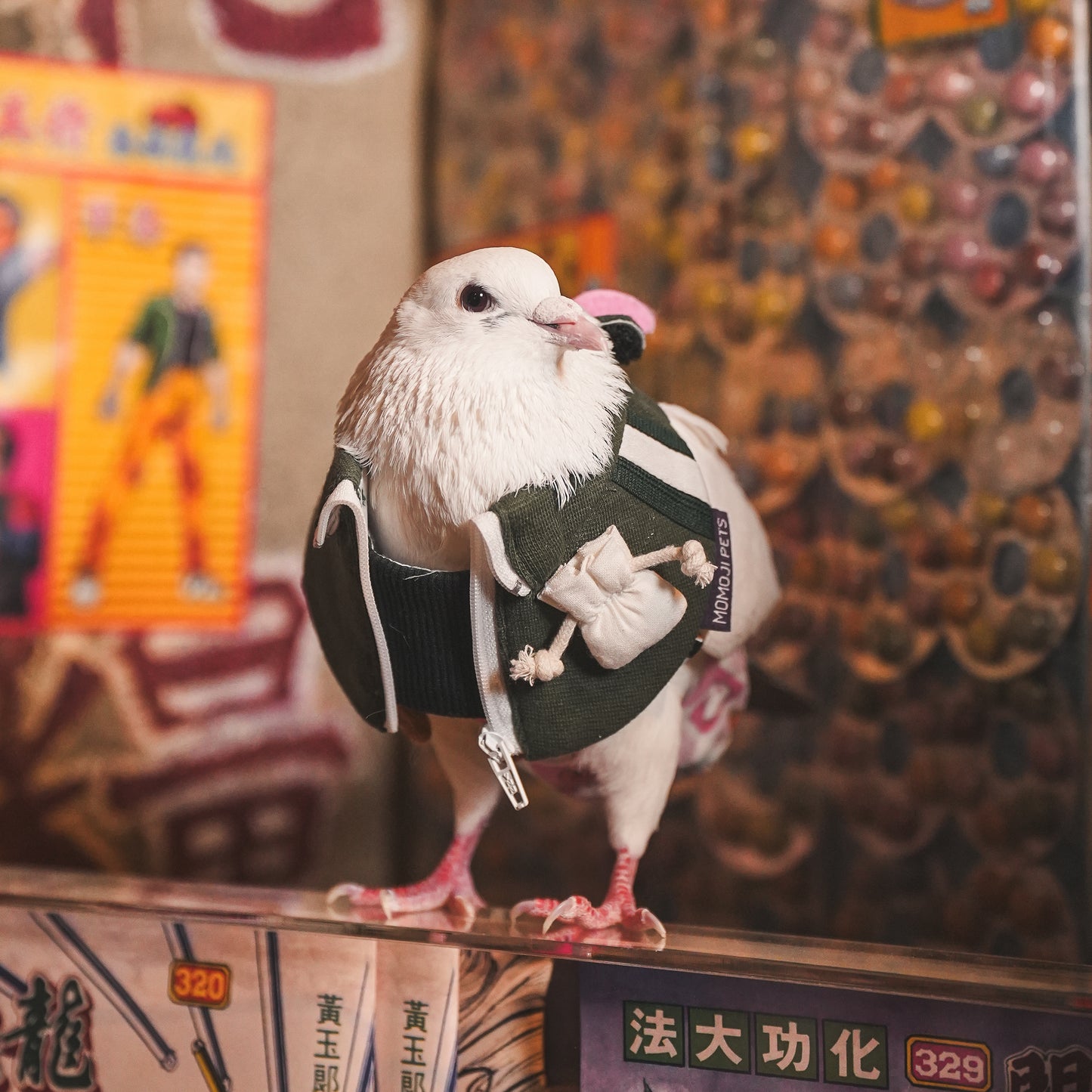 Lok-kwan A (洛軍) | Pet Bib