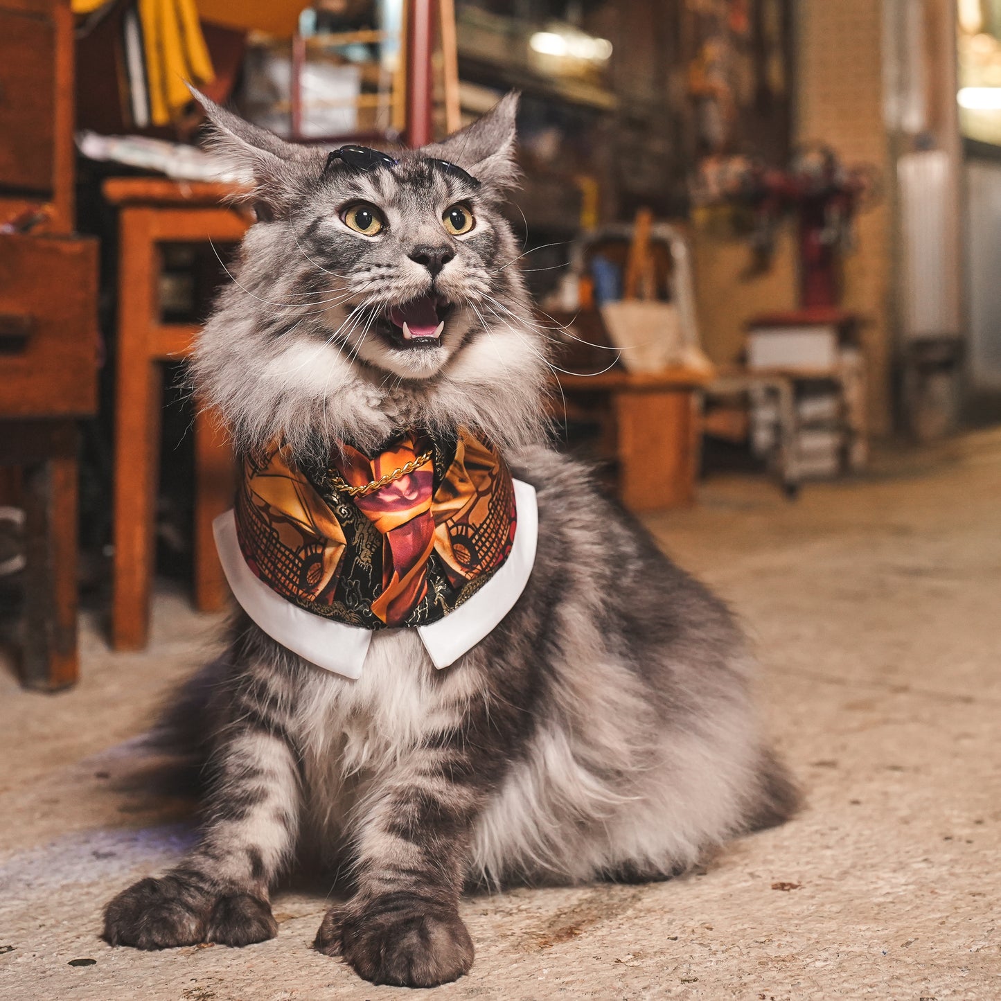 King (王九) | Pet Bib