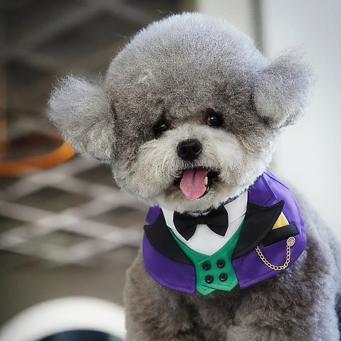 Jack | Pet Halloween Bib