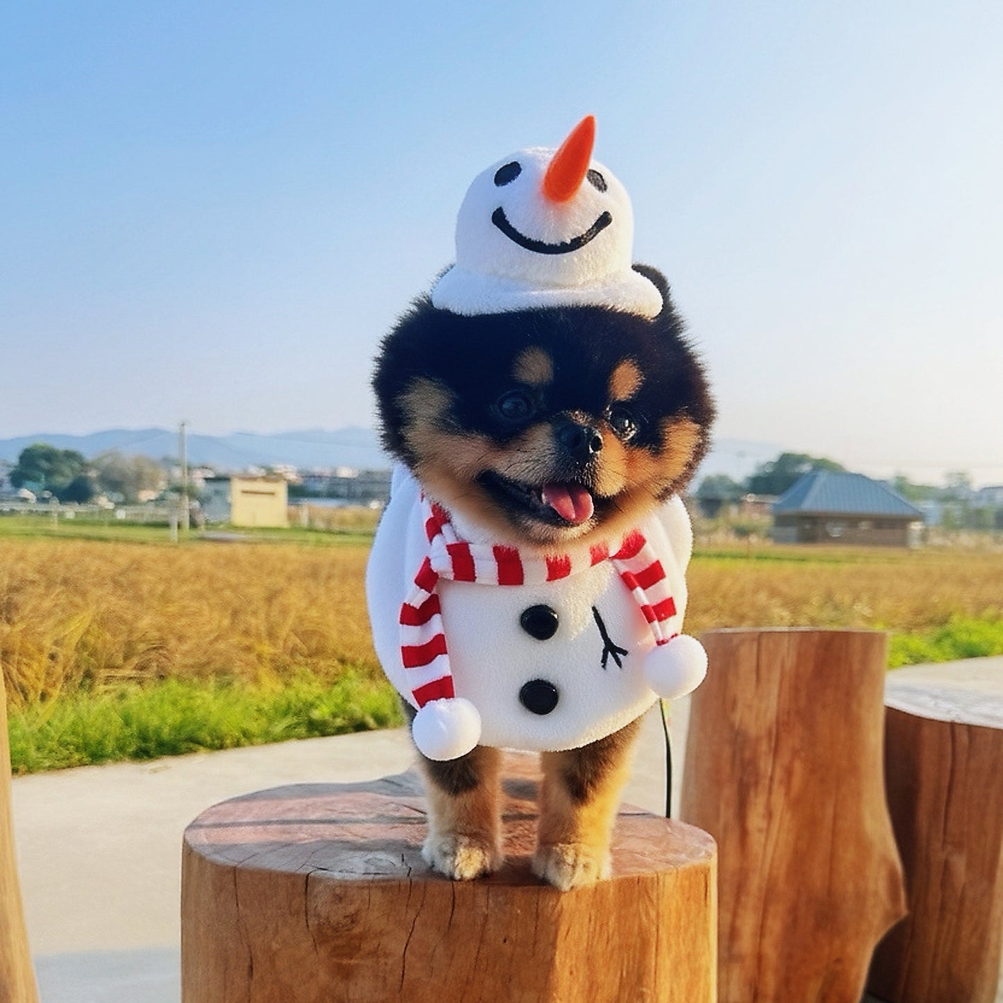 Momosnow | Pet Christmas Hat