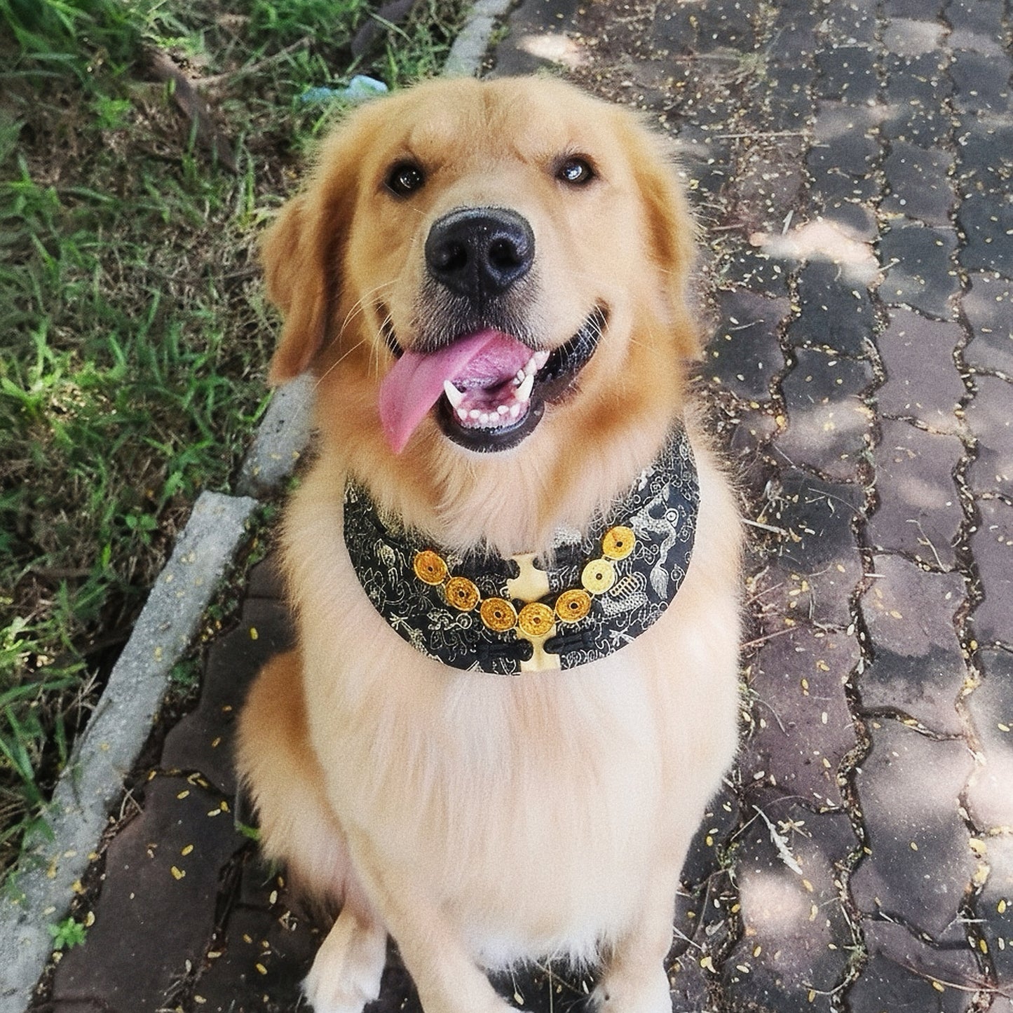 Amulet 金寶 | Pet LNY Neckwear