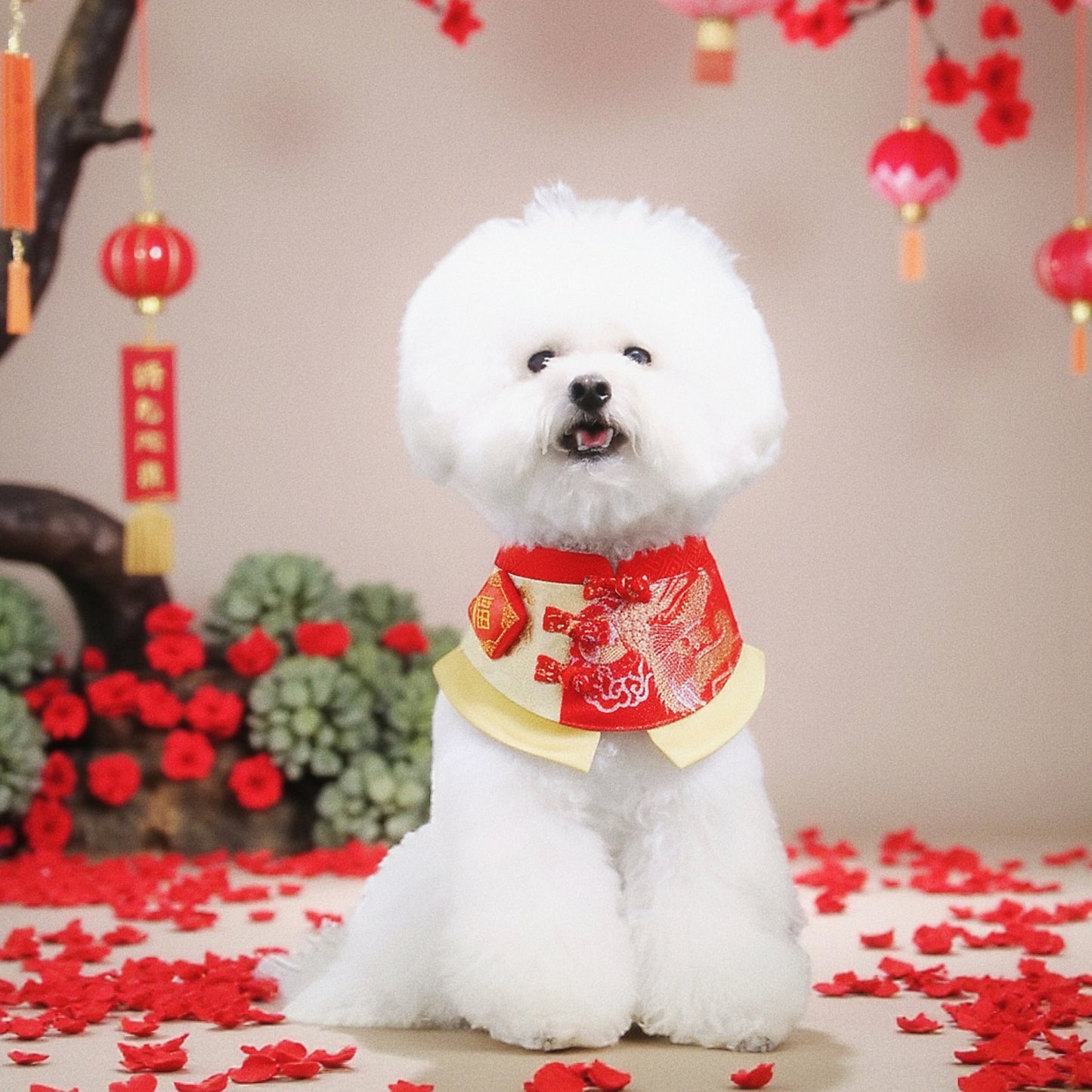 Dragon 龍騰 | Pet LNY Neckwear