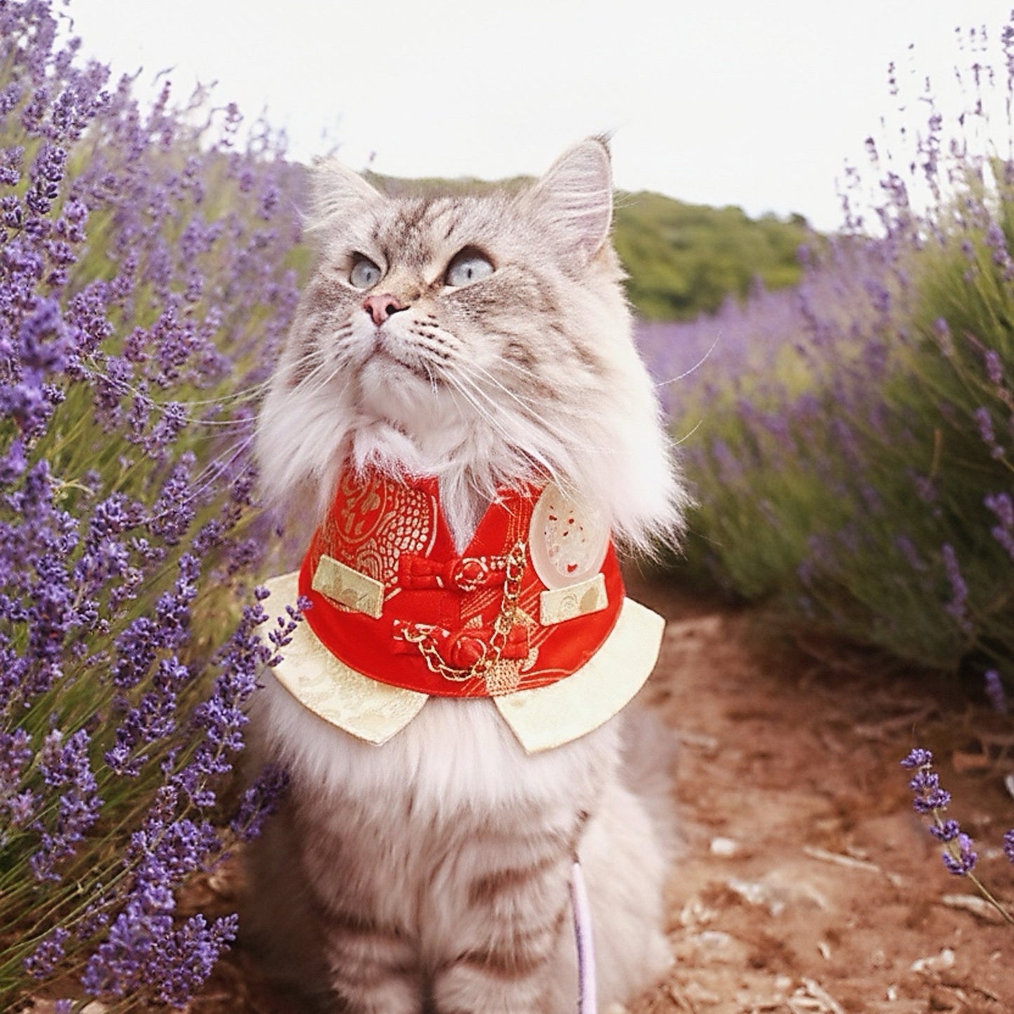 Noble 青雲 | Pet LNY Neckwear