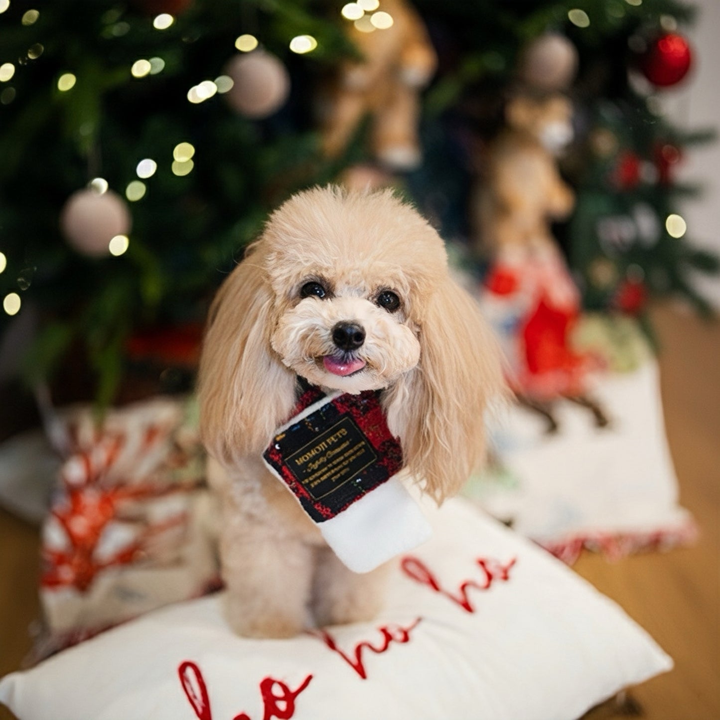 Caine | Pet Christmas Neckwear