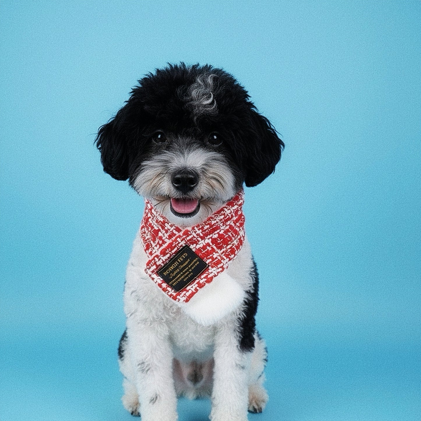 Caine | Pet Christmas Neckwear