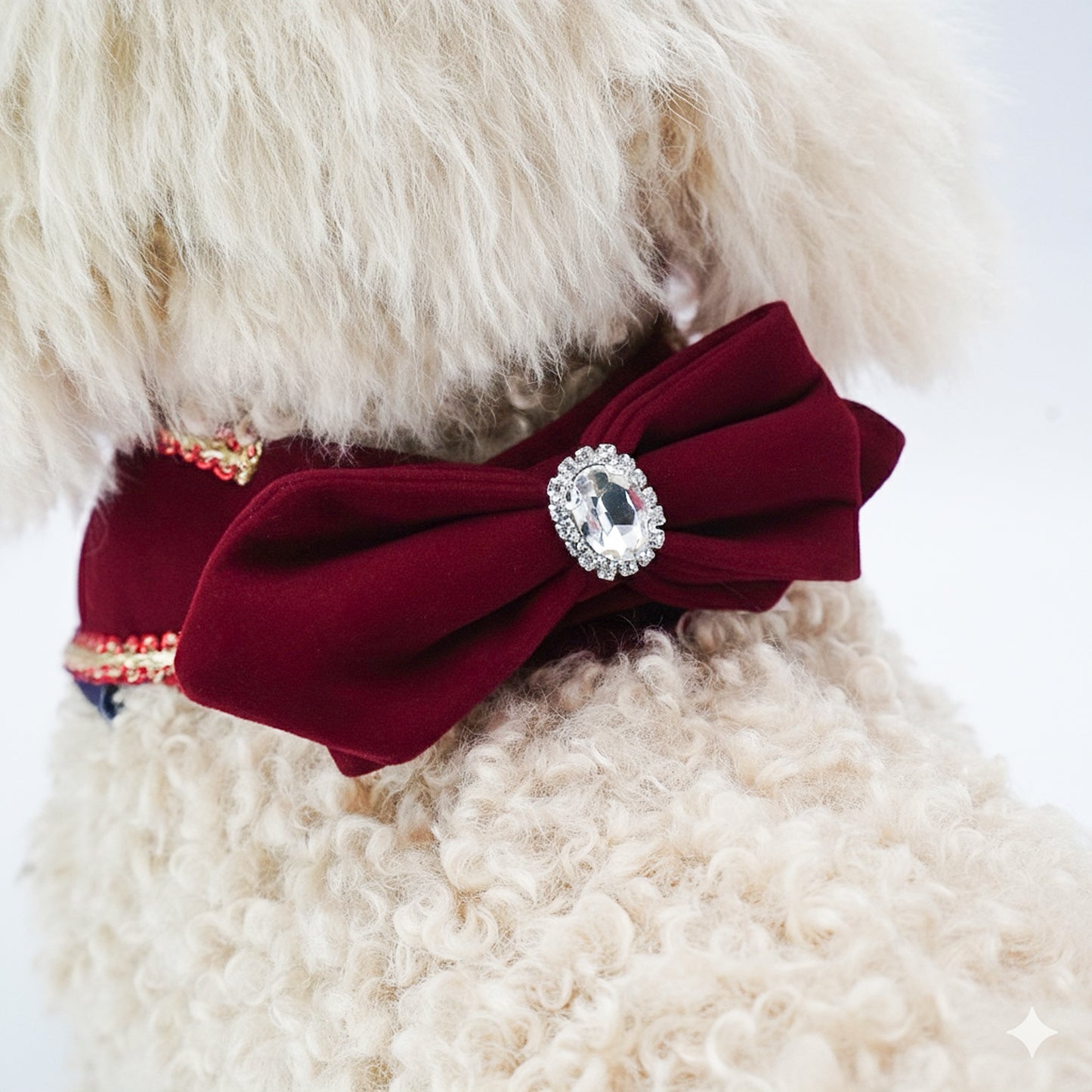 Starry Night Lux | Pet Christmas Neckwear