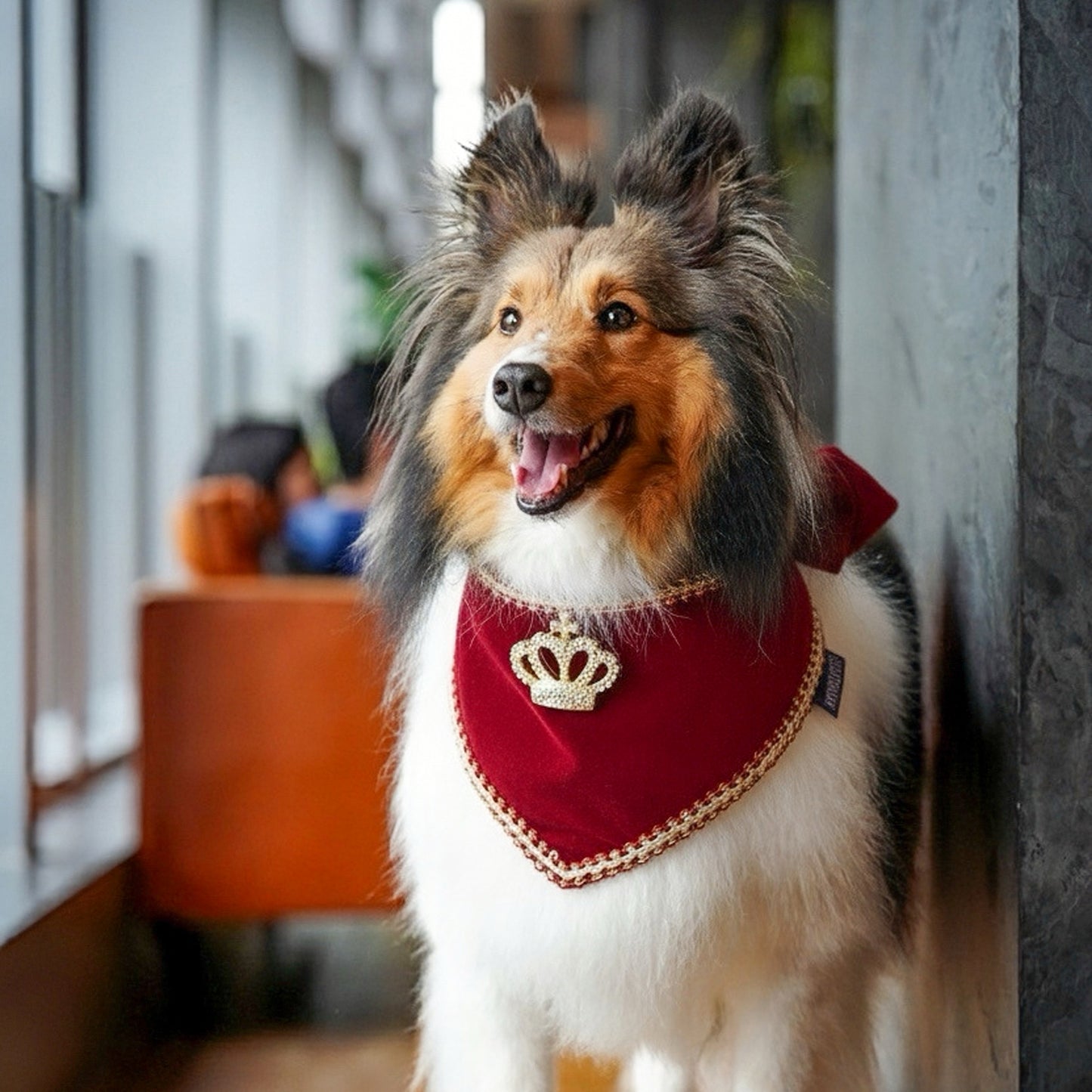 Starry Night Lux | Pet Christmas Neckwear