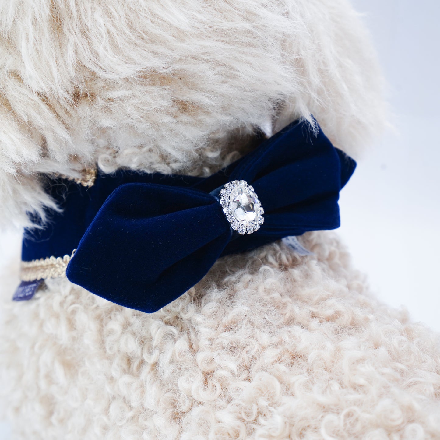 Starry Night Lux | Pet Christmas Neckwear