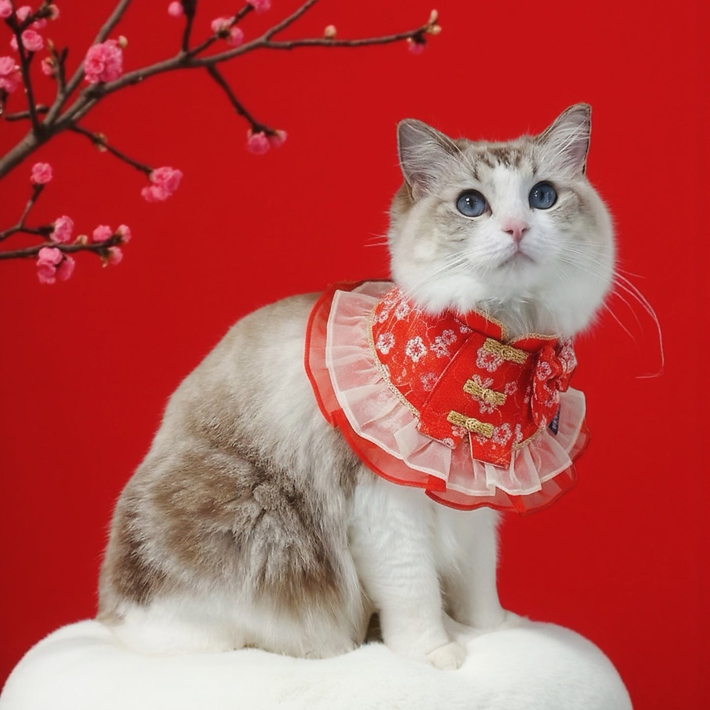 Grandeur 昭華 | Pet LNY Neckwear