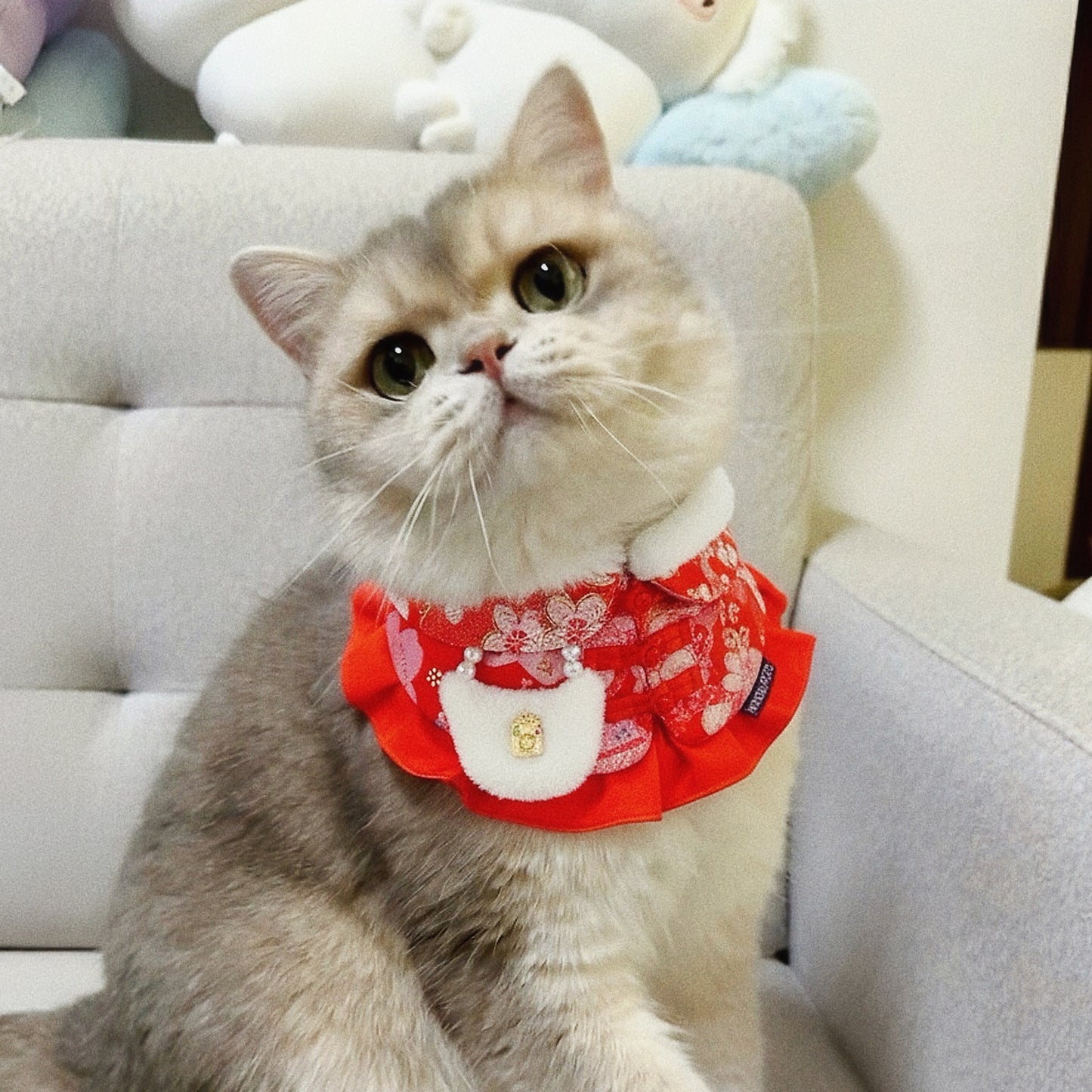 Grace 雅頌 | Pet LNY Neckwear