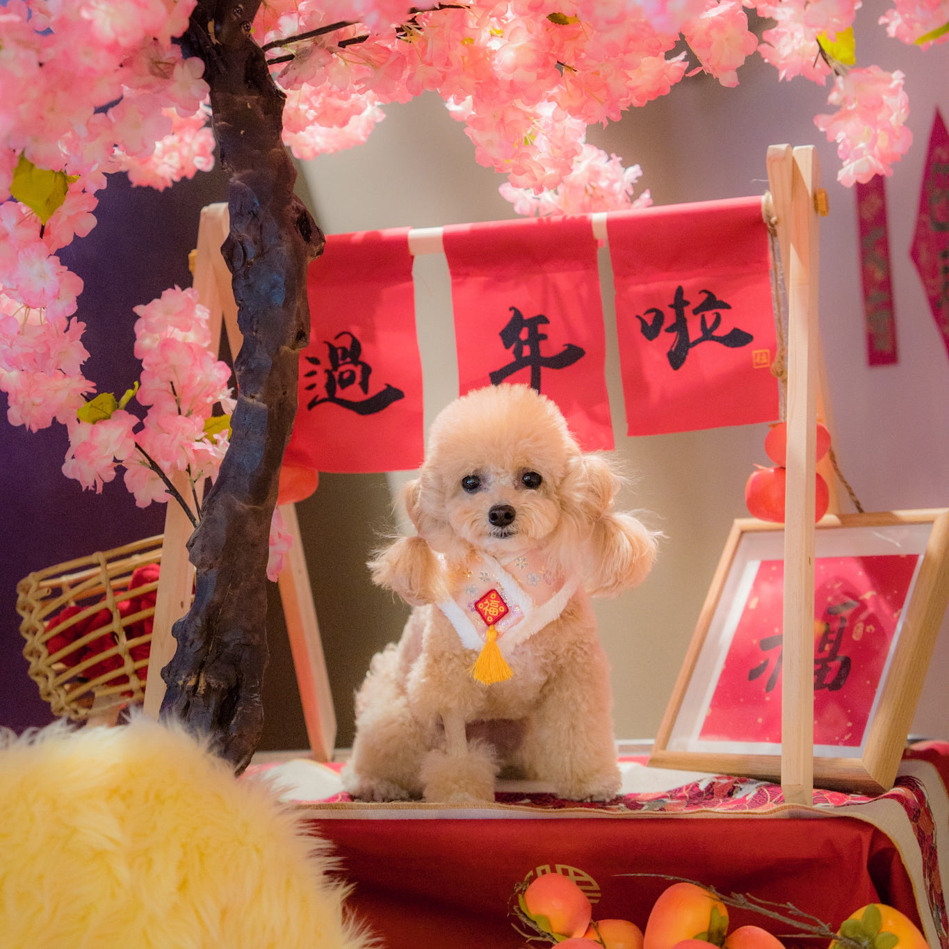 Fiesta 嘉慶 | Pet LNY Neckwear