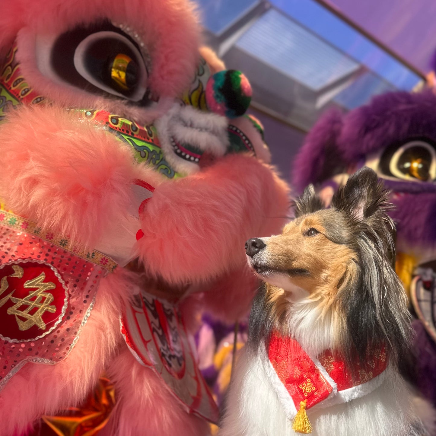 Fiesta 嘉慶 | Pet LNY Neckwear