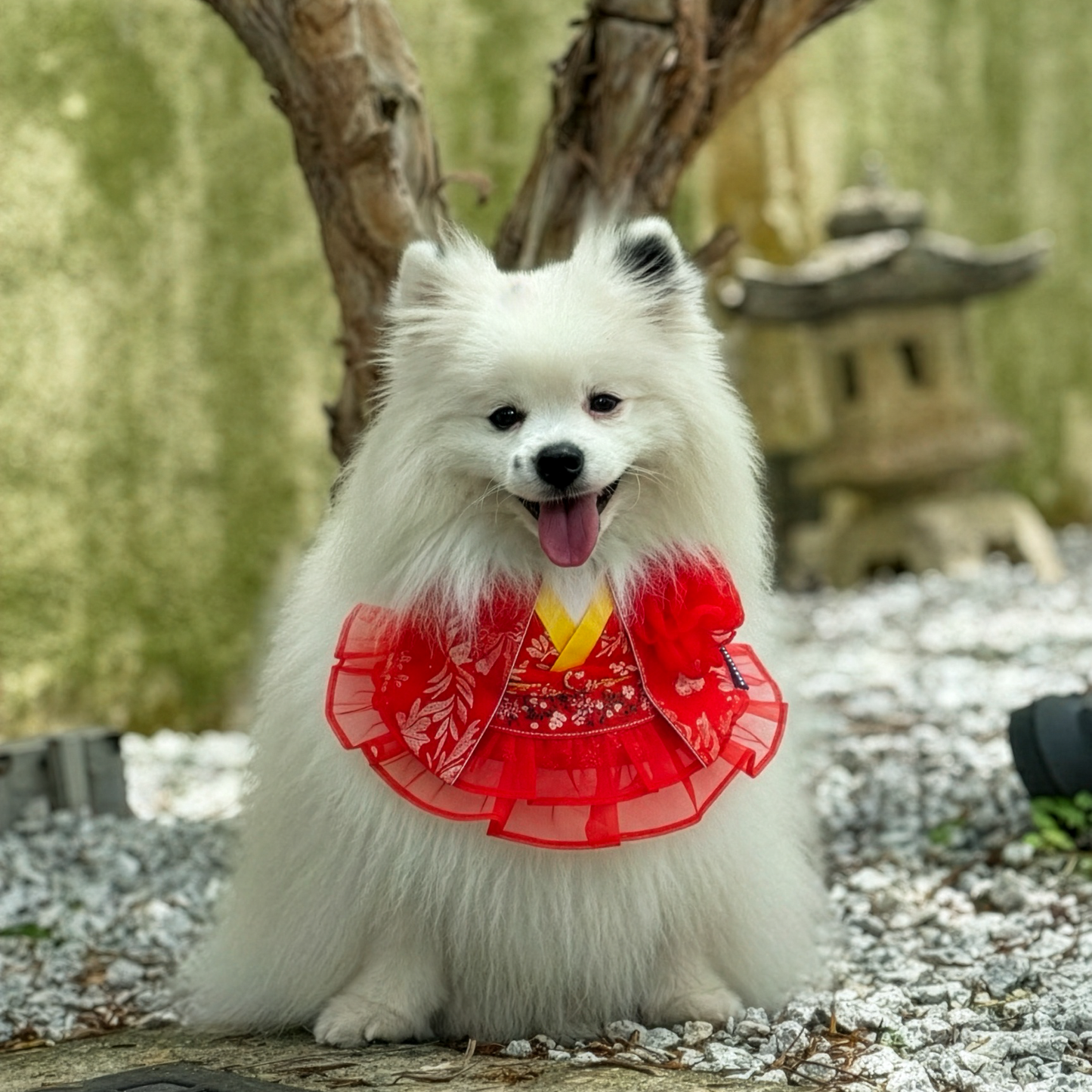 Robe 雲裳 | Pet LNY Neckwear