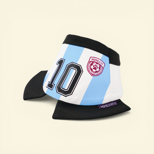 Momoji FC (2-Bueno Aires Stripes) | Pet Neckwear