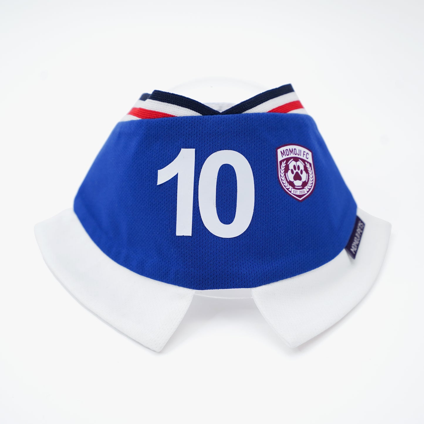Momoji FC (5-Rome Blue) | Pet Neckwear