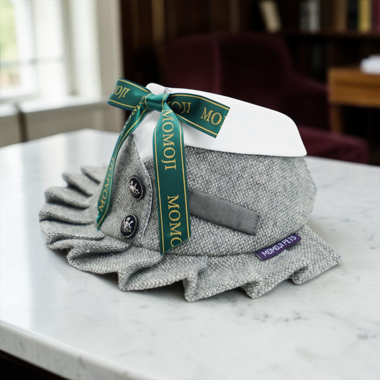 Picadilly (2-Light Gray Tweed) | Pet Neckwear