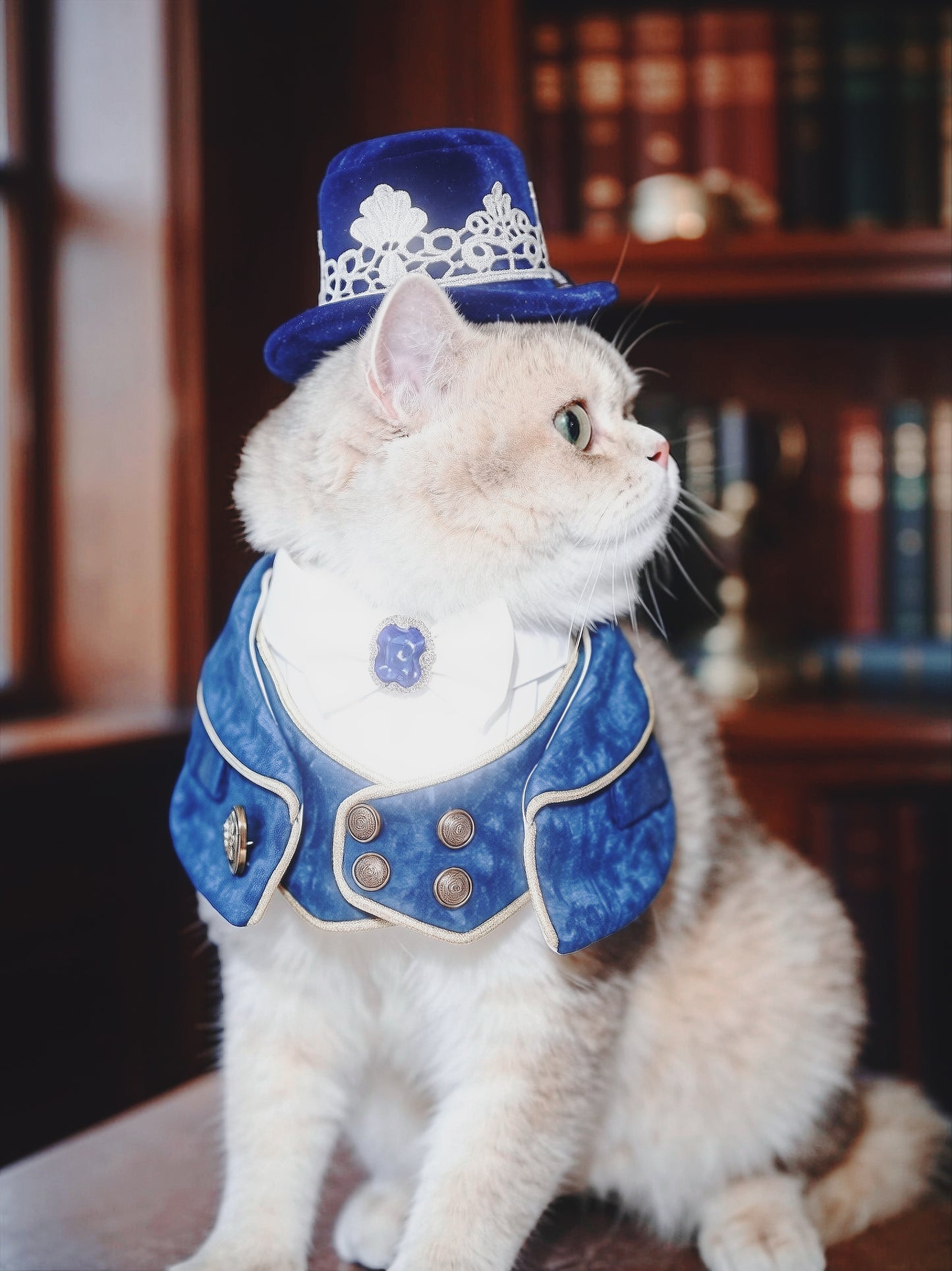 Cavendish (1-Imperial Sapphire Blue) | Pet Neckwear