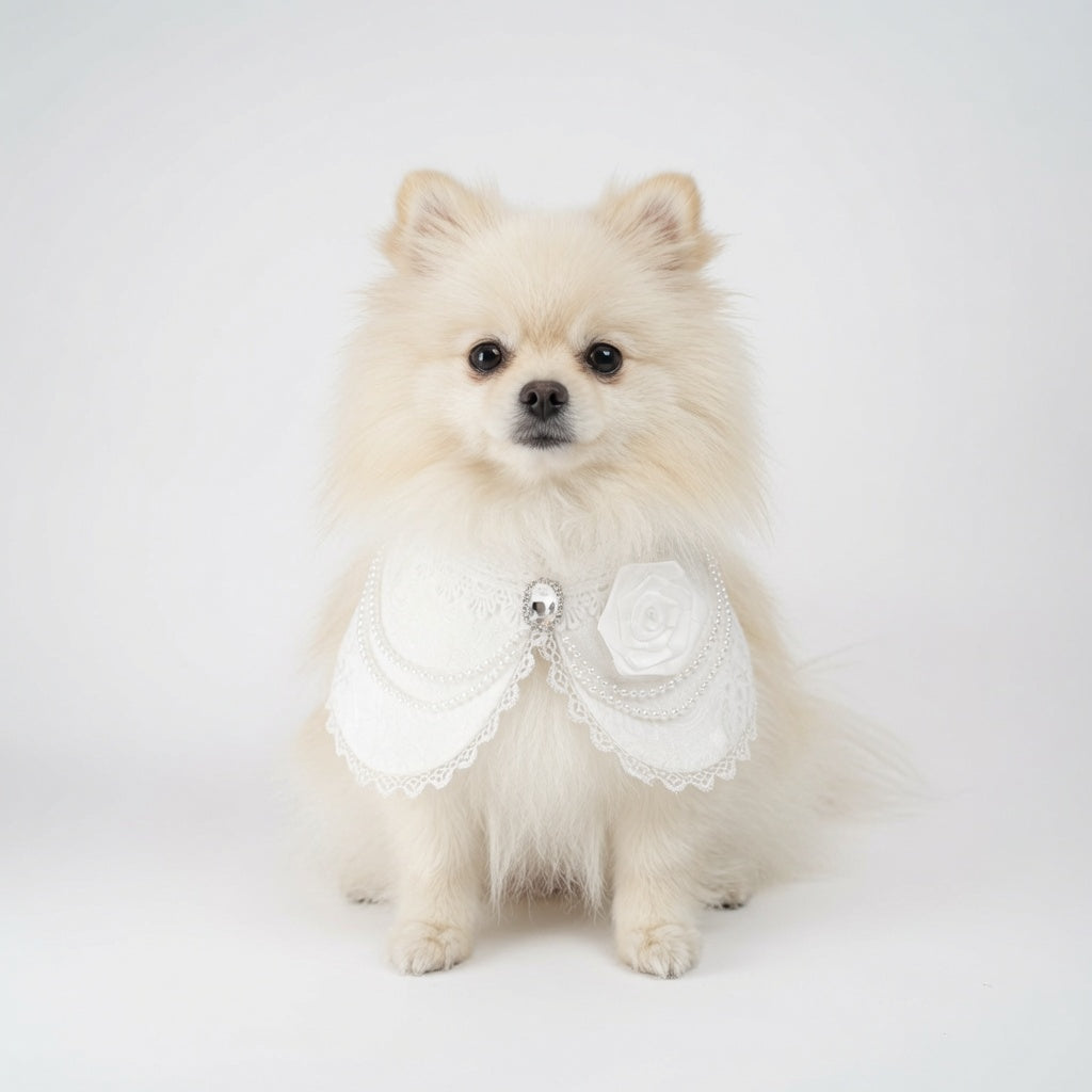 Debutante (1-Bridal Alabaster White) | Pet Neckwear