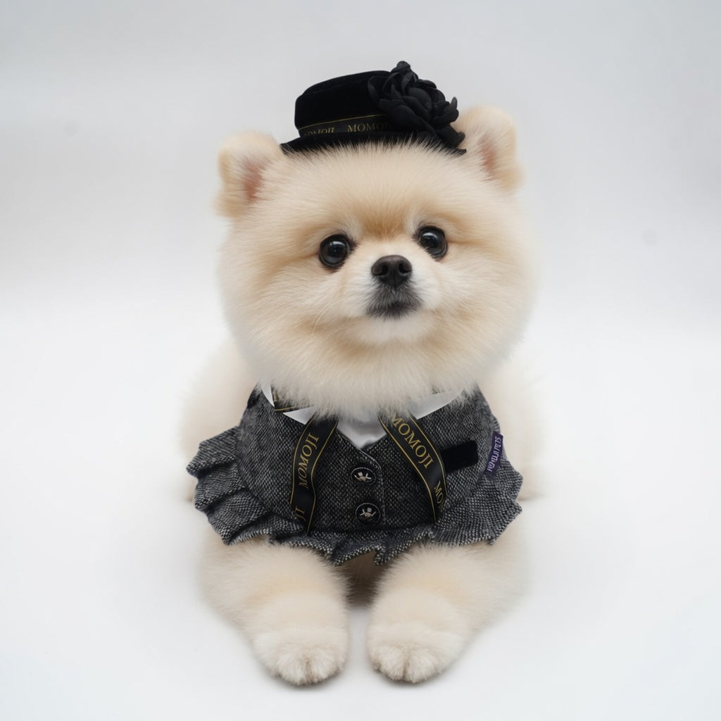 Picadilly (2-Velvet Obsidian Black) | Pet Hat