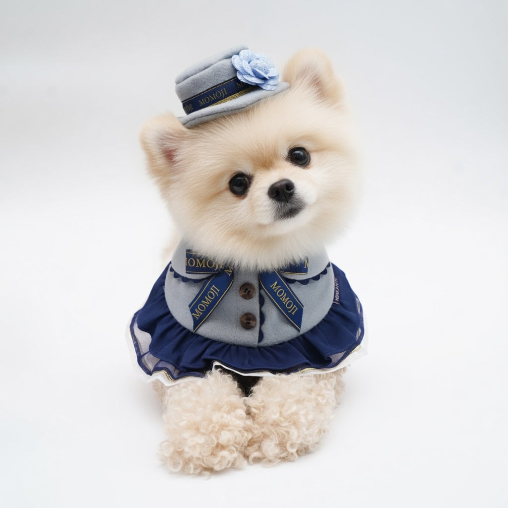 Mayfair (1-Haze Gray & Navy Blue) | Pet Hat