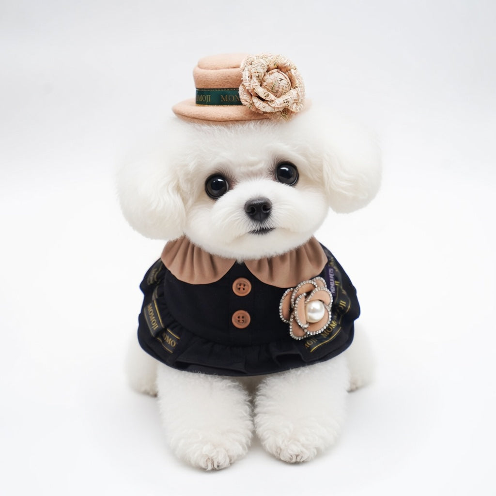 Mayfair (3-Warm Vintage Brown) | Pet Hat