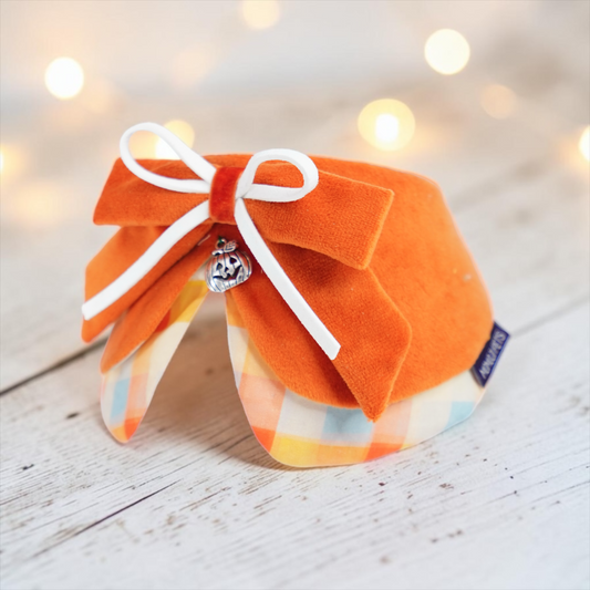Pumpkin Scholar (1-Spiced Pumpkin) | Pet Neckwear