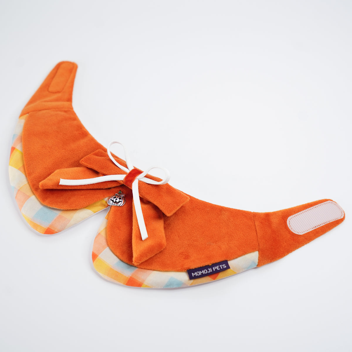 Pumpkin Scholar (1-Spiced Pumpkin) | Pet Neckwear