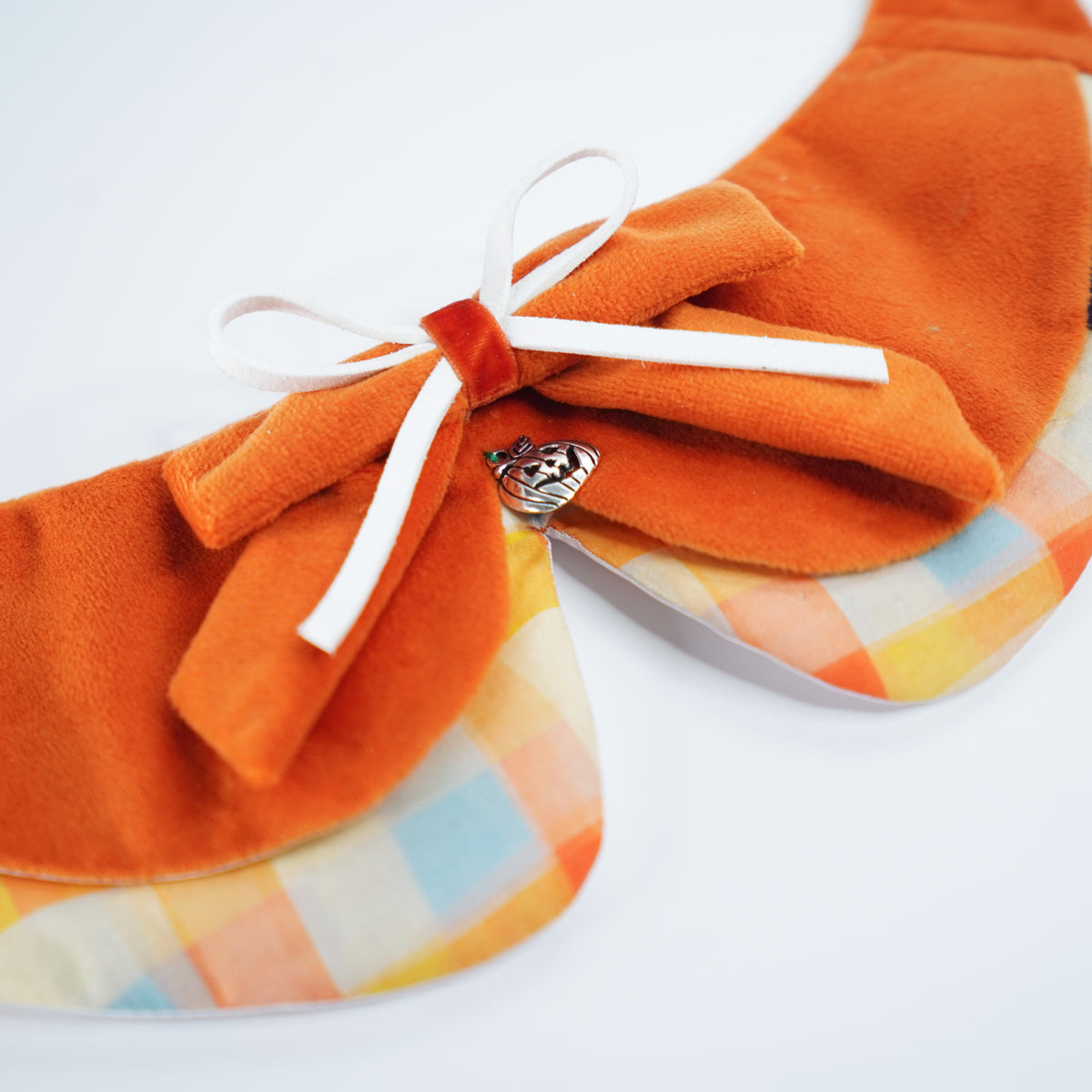 Pumpkin Scholar (1-Spiced Pumpkin) | Pet Neckwear