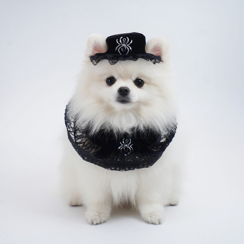 Spider Countess Hat (1-Midnight Onyx) | Pet Hat