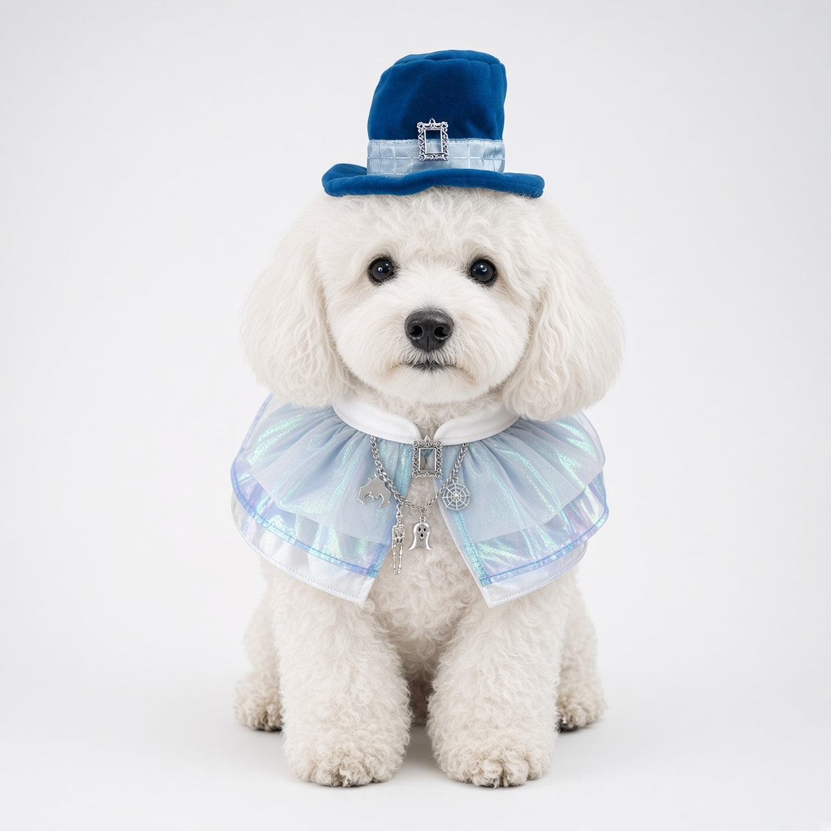 Haunted Gallery (1-Aurora Mist) | Pet Neckwear