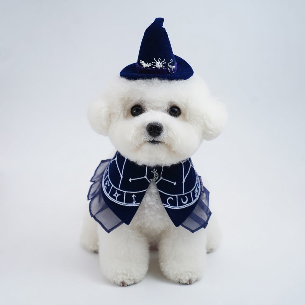 The Oracle's Veil (1-Celestial Indigo) | Pet Neckwear