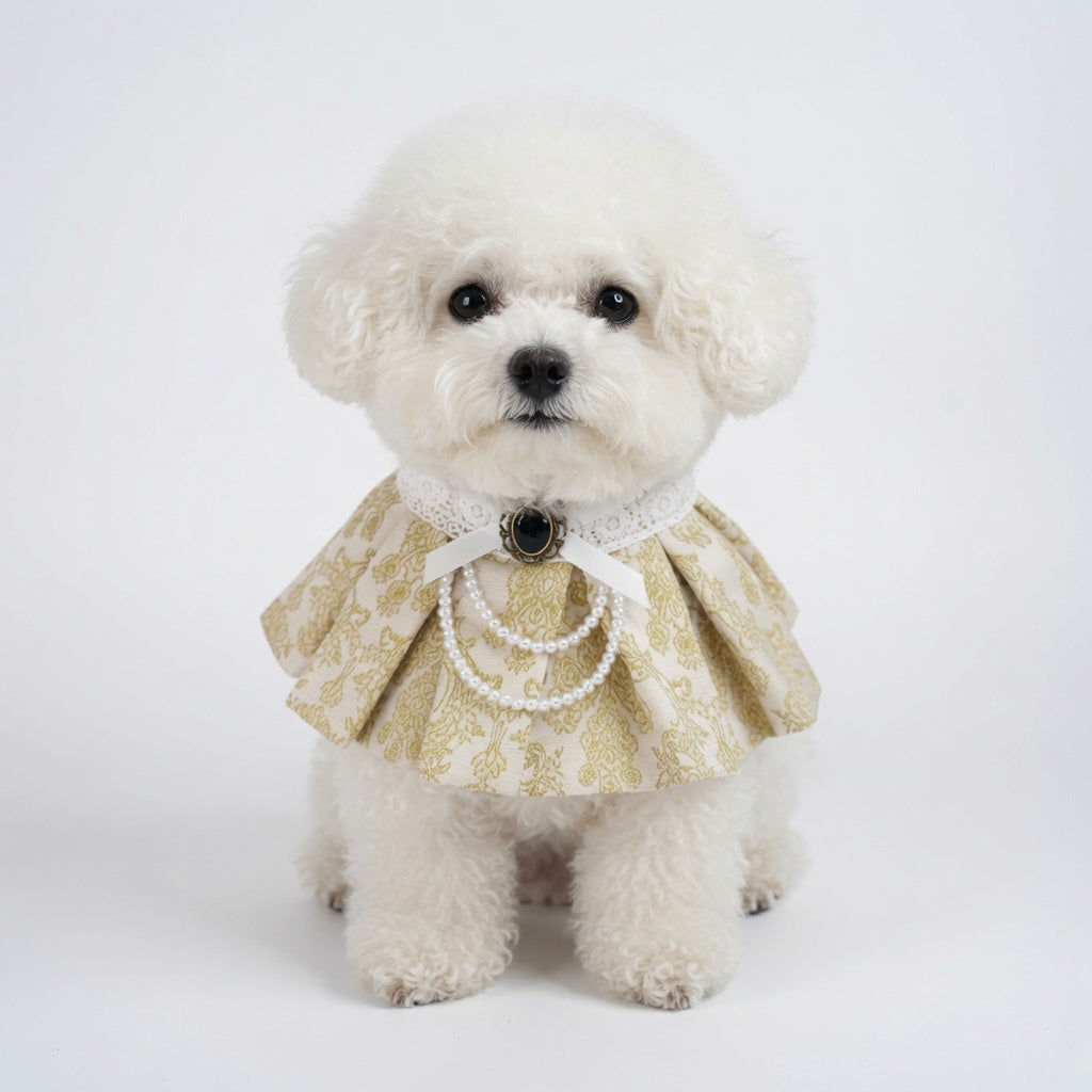 Gwendolen (1-Gilded Vanilla Brocade) | Pet Neckwear